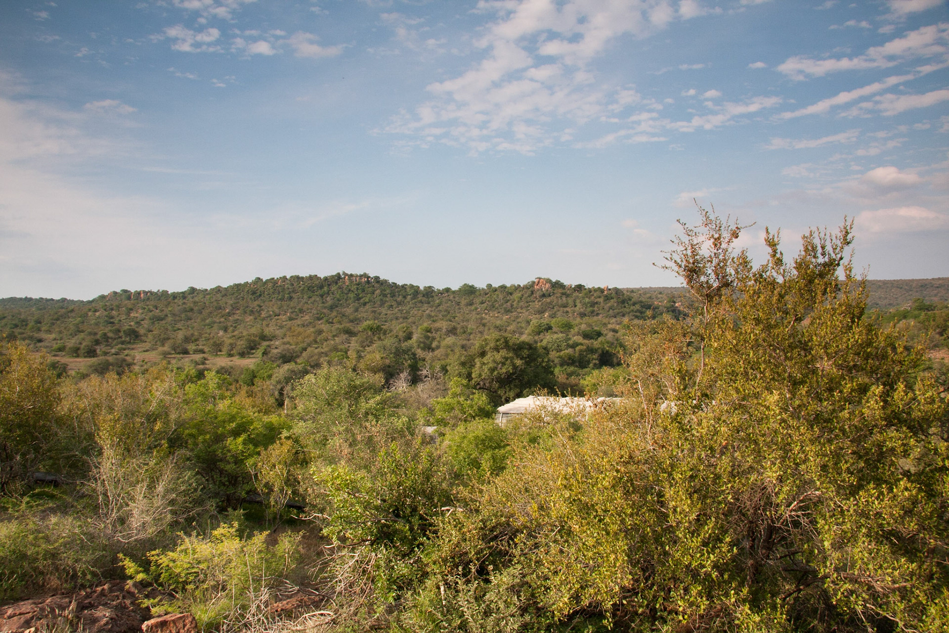 View from Lebombo long bar