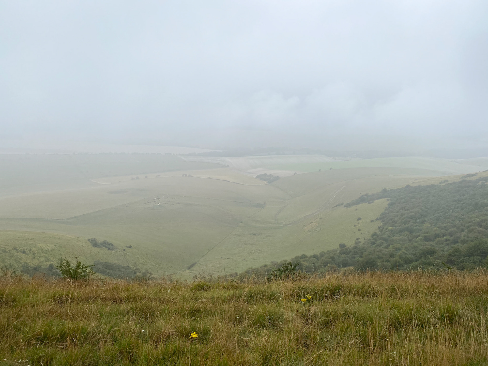 South Downs Way, near Kingston