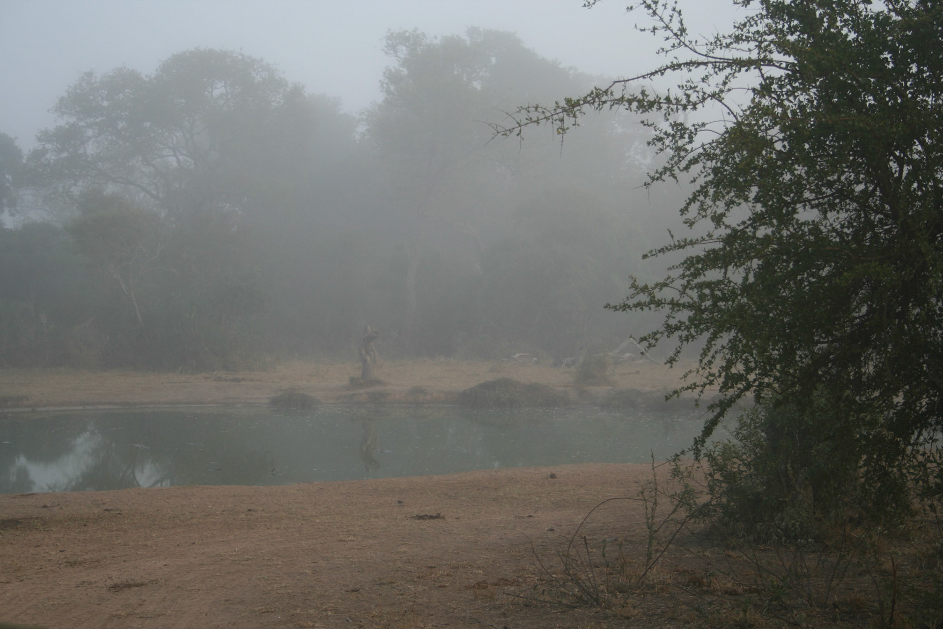 Hennie's Pan in the early morning mist