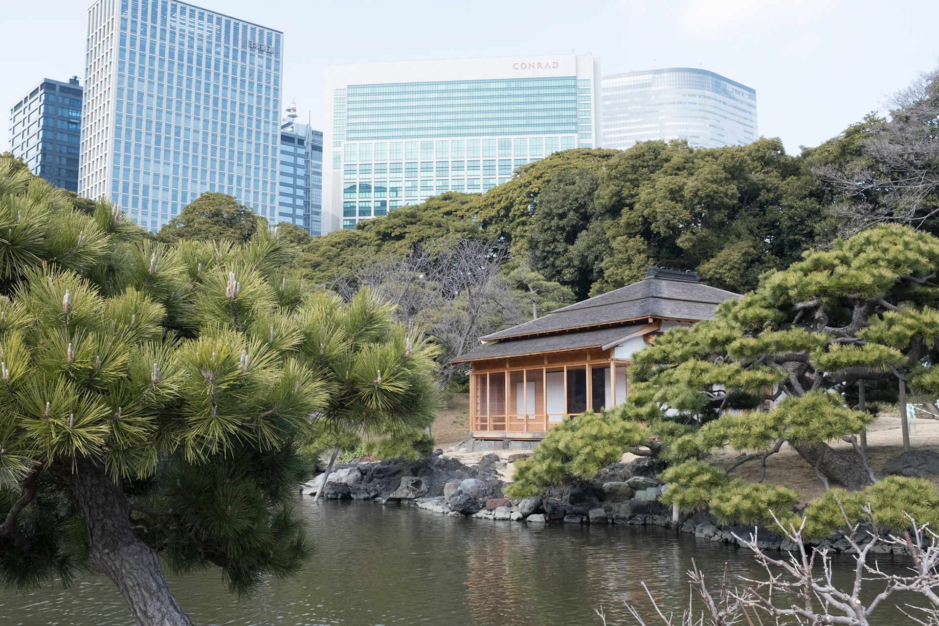 Tea house, Hamarikyu gardens