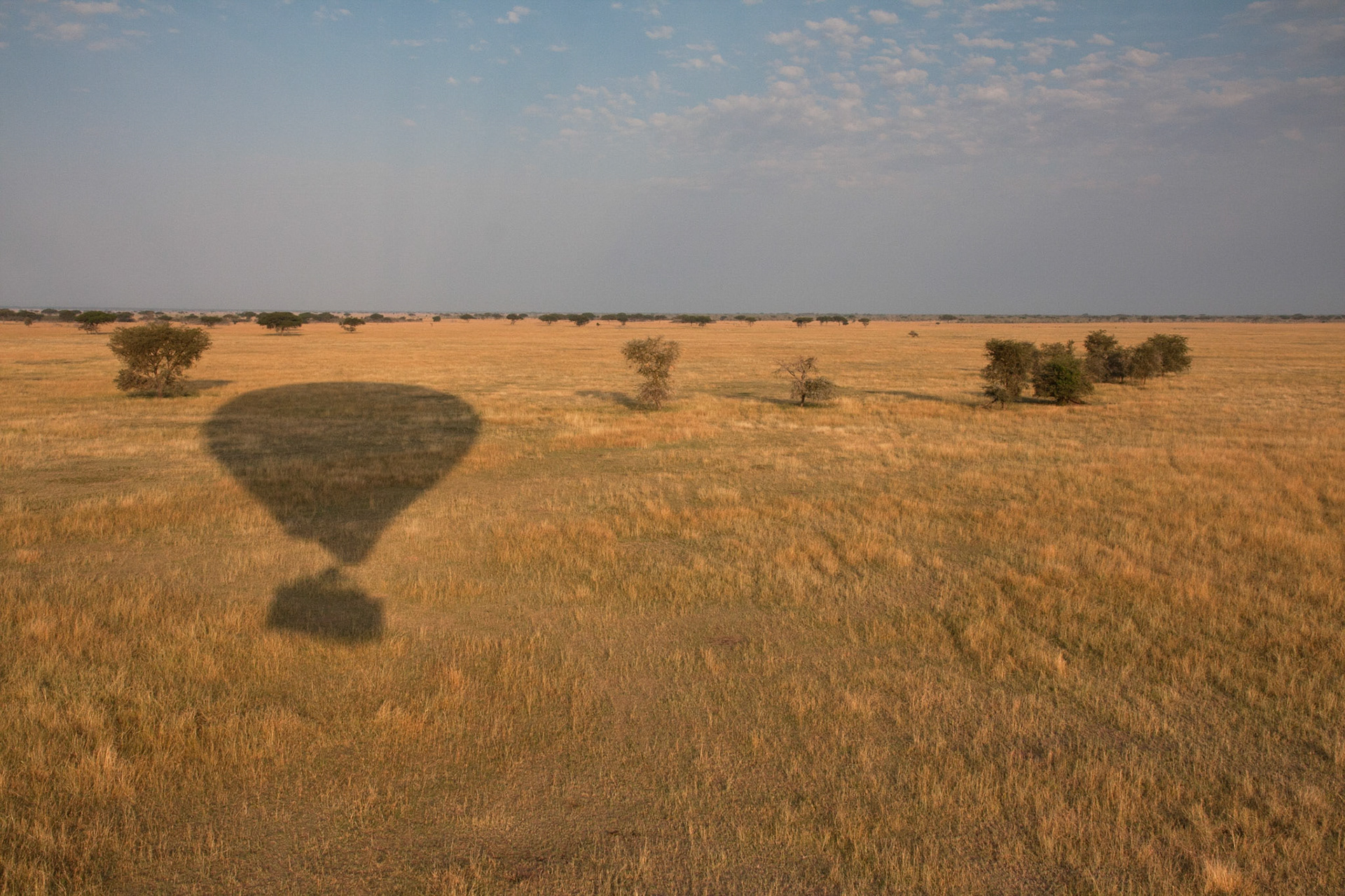 Early morning balloon ride over the Serengeti