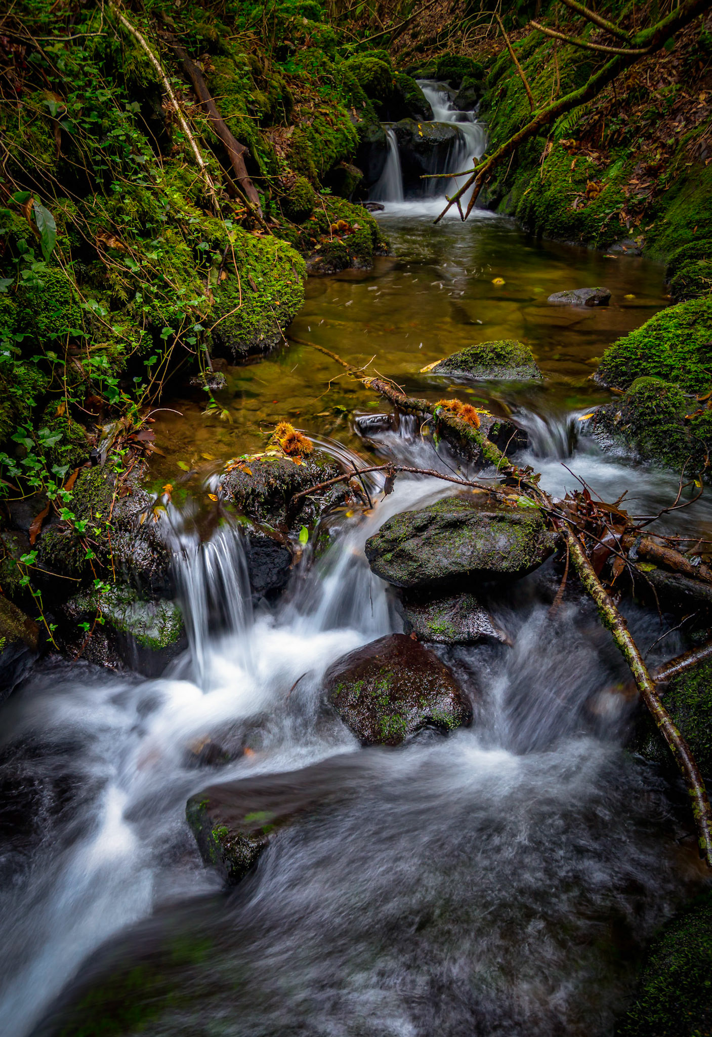 STREAM