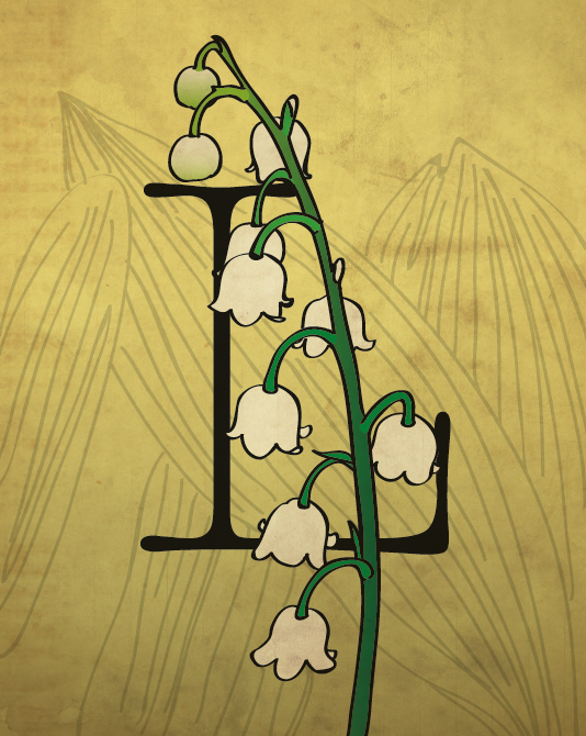Lily of the Valley
