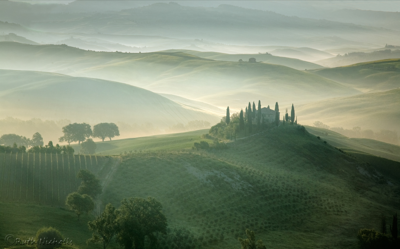 Tuscan Dawn