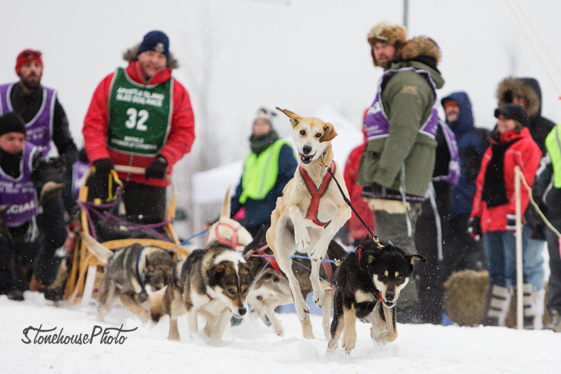 Commercial & Editorial Photography Hannah Stonehouse Hudson Dogs of