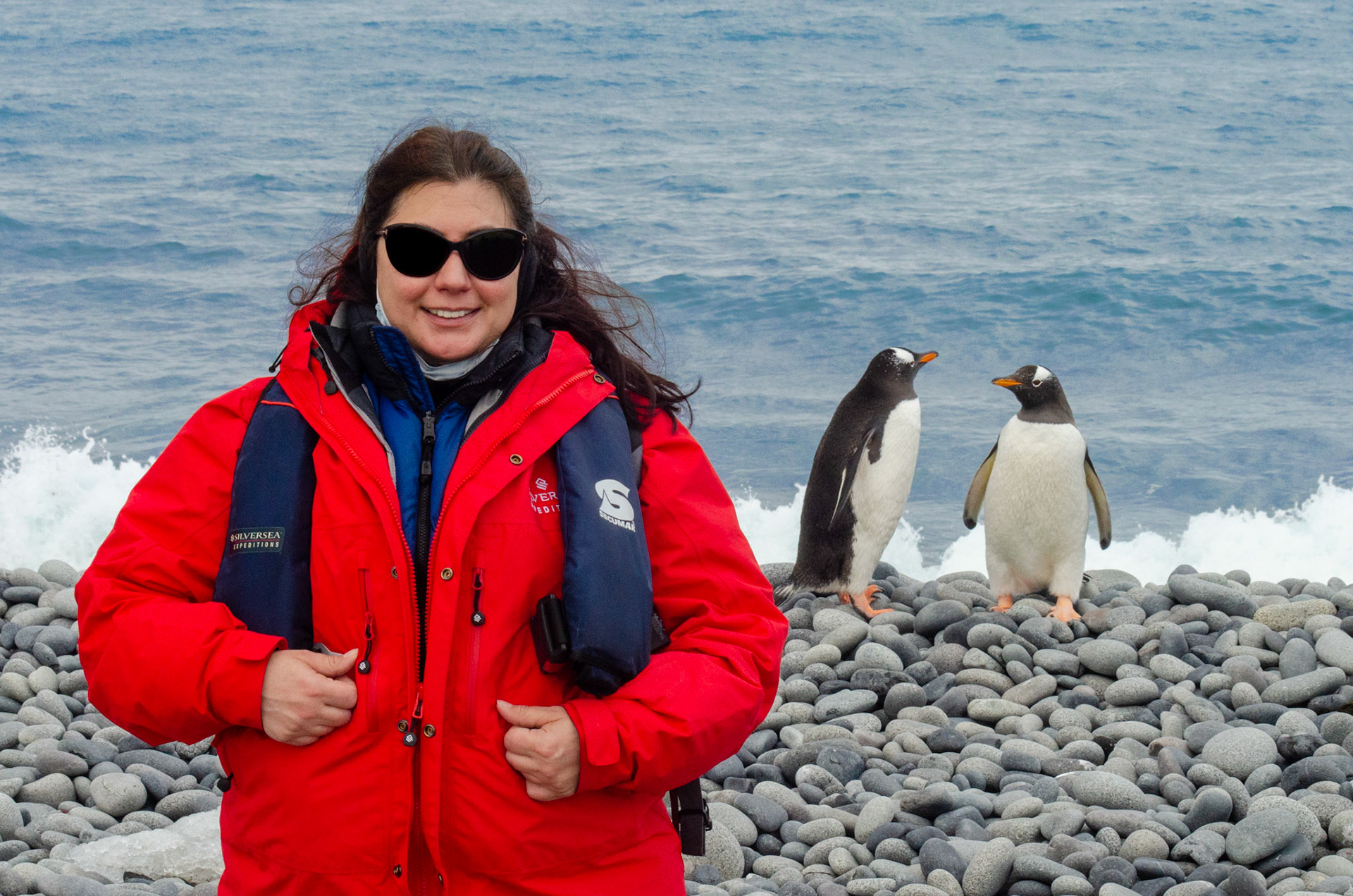 Iara and the Gentoos