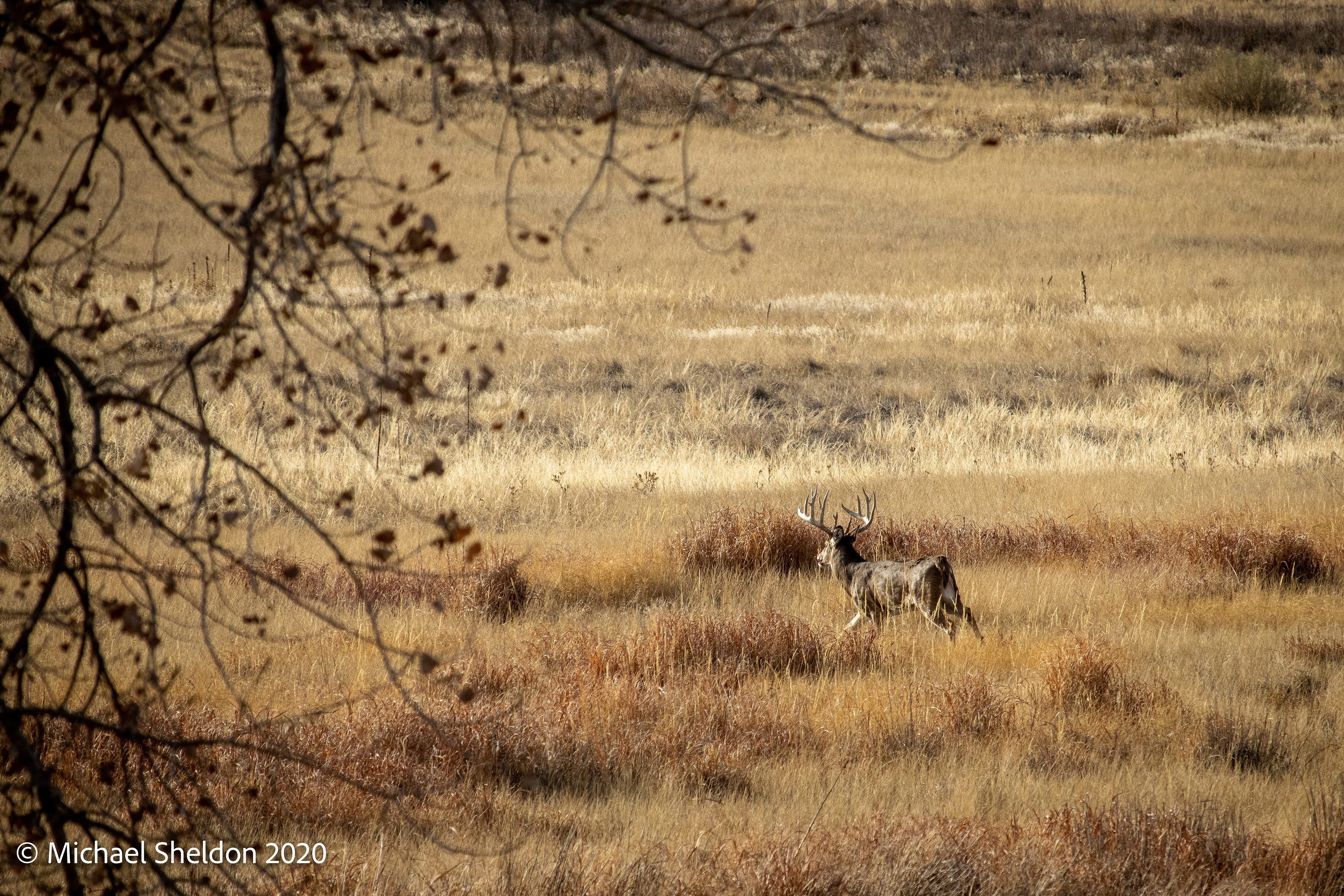 Rocky Mountain NWR
