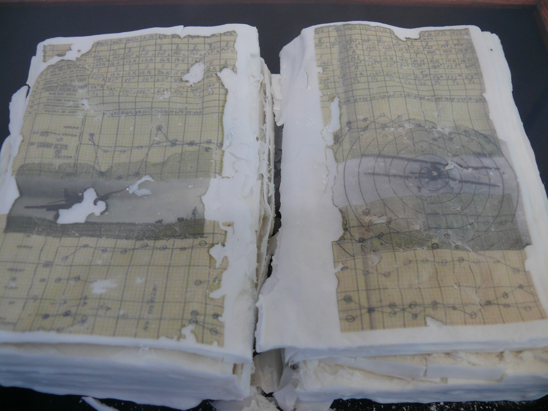 Pilot's log and flying WWII photos