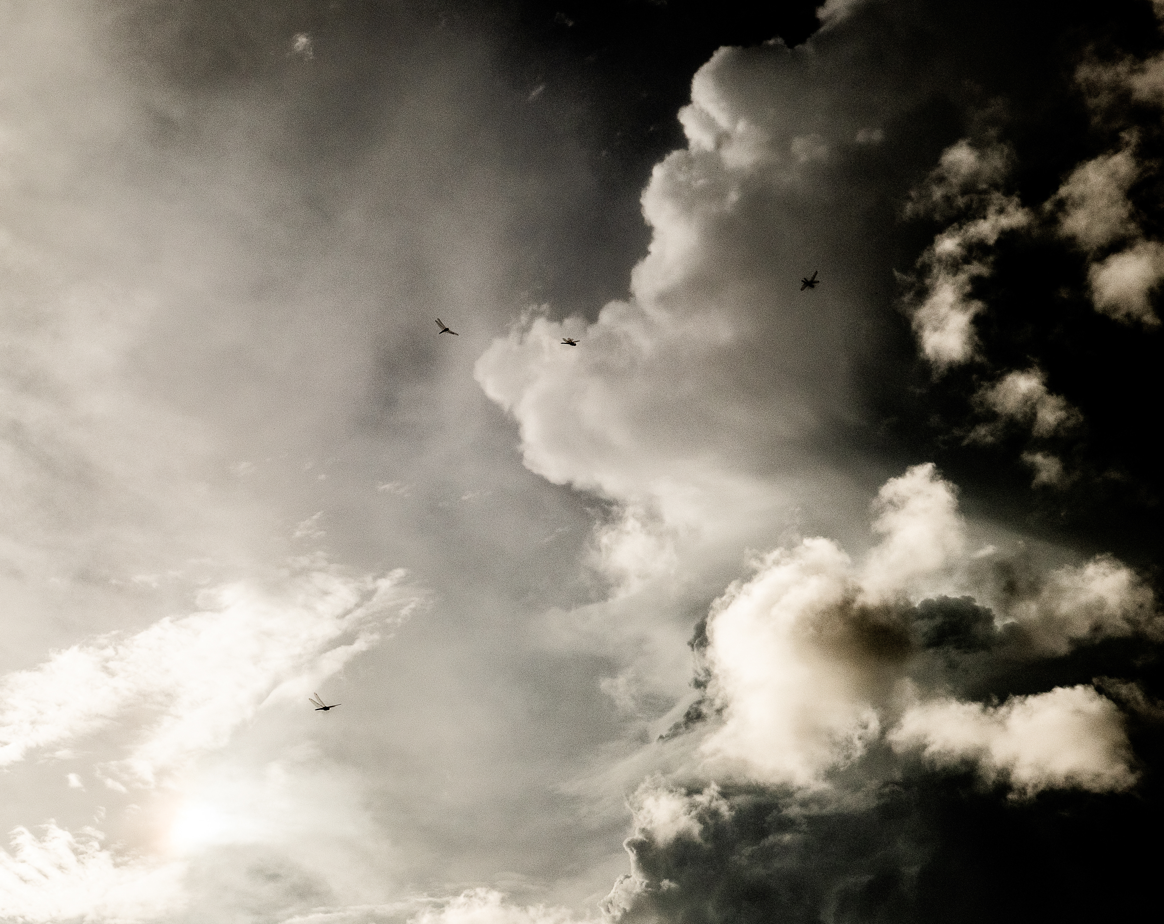 After the Storm