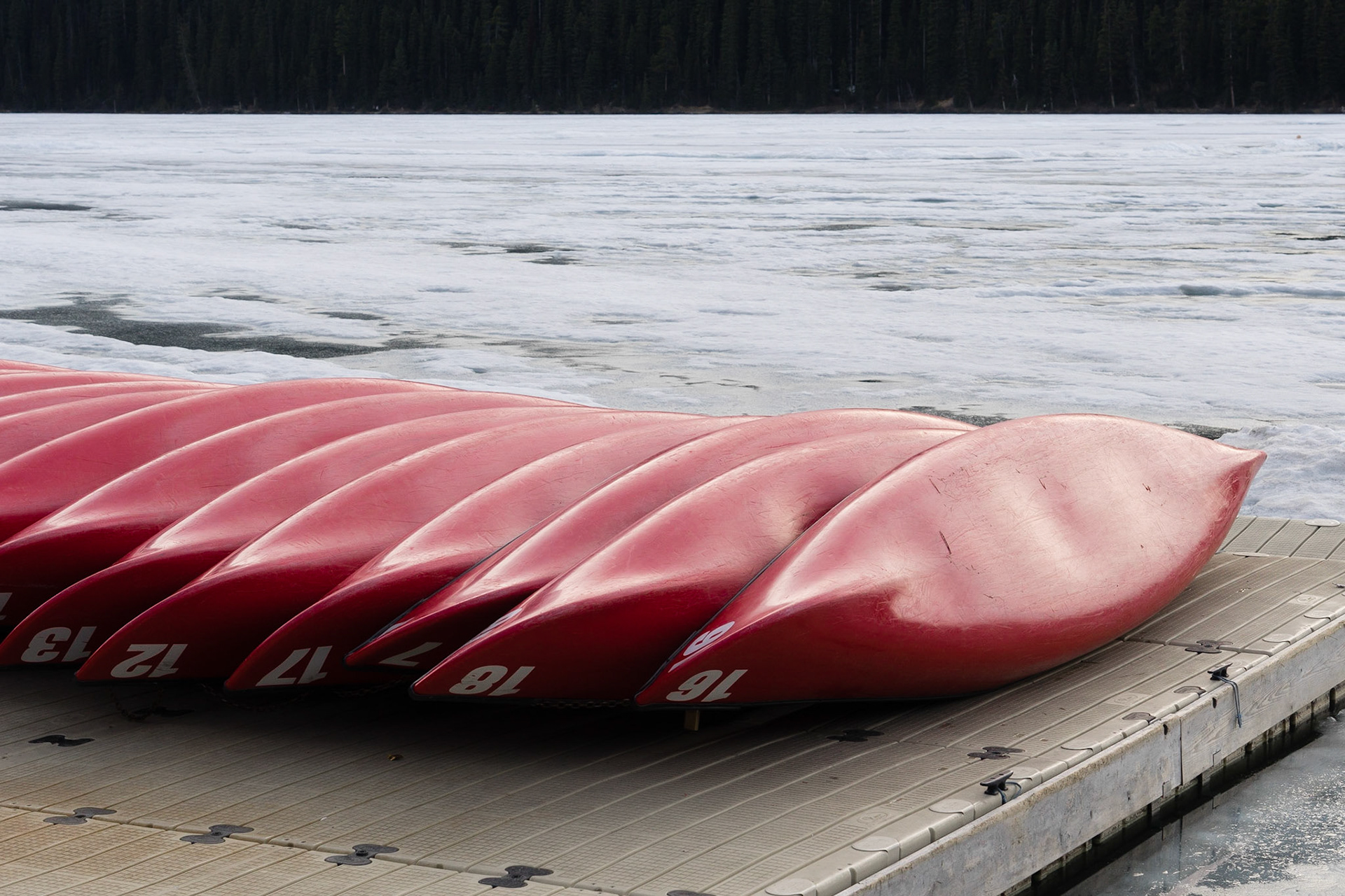 Waiting for a warmer season. Lake Louise, AB, Canada.