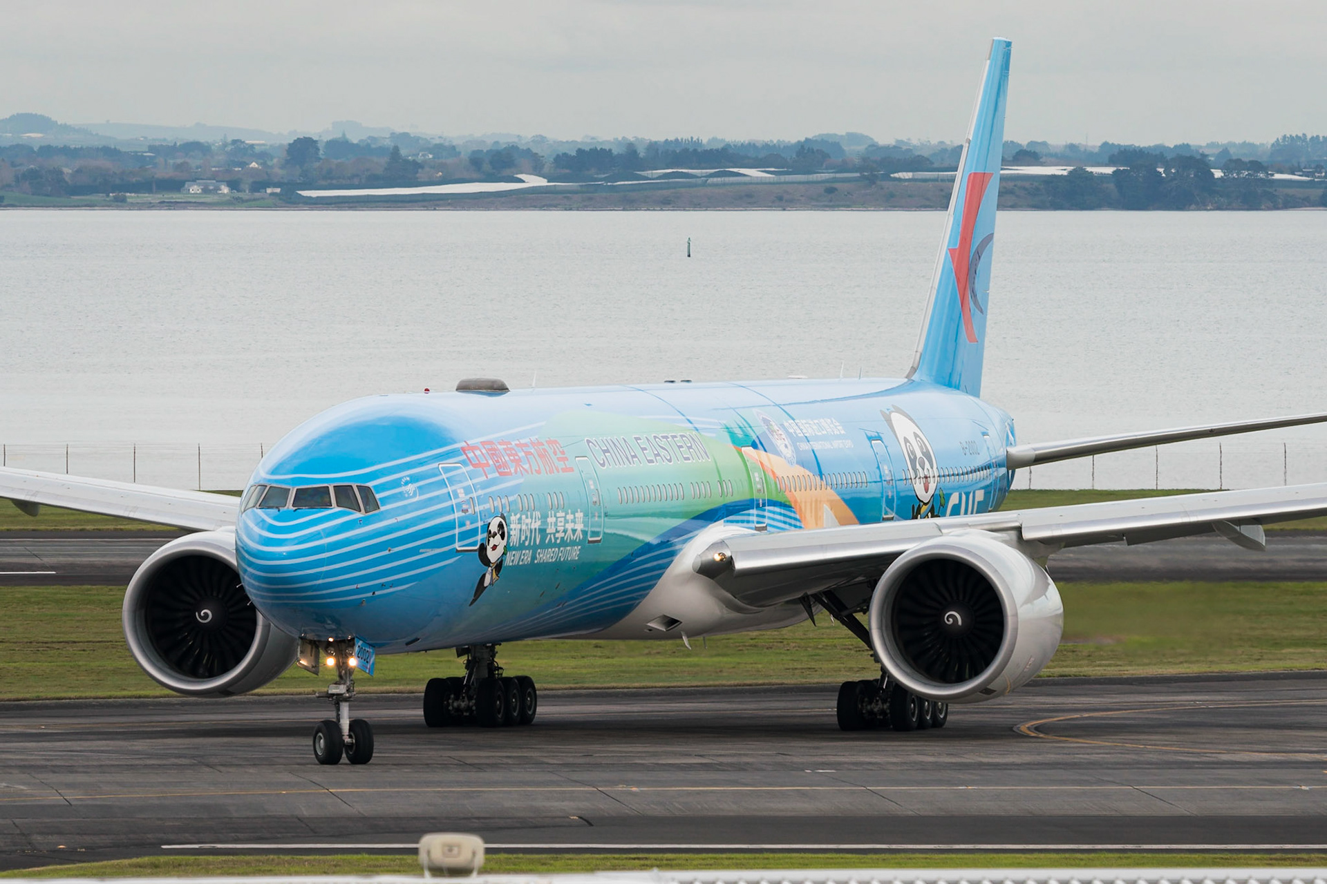 China Eastern Boeing 777-300ER B-2002 wearing the China International Import Expo special livery.
