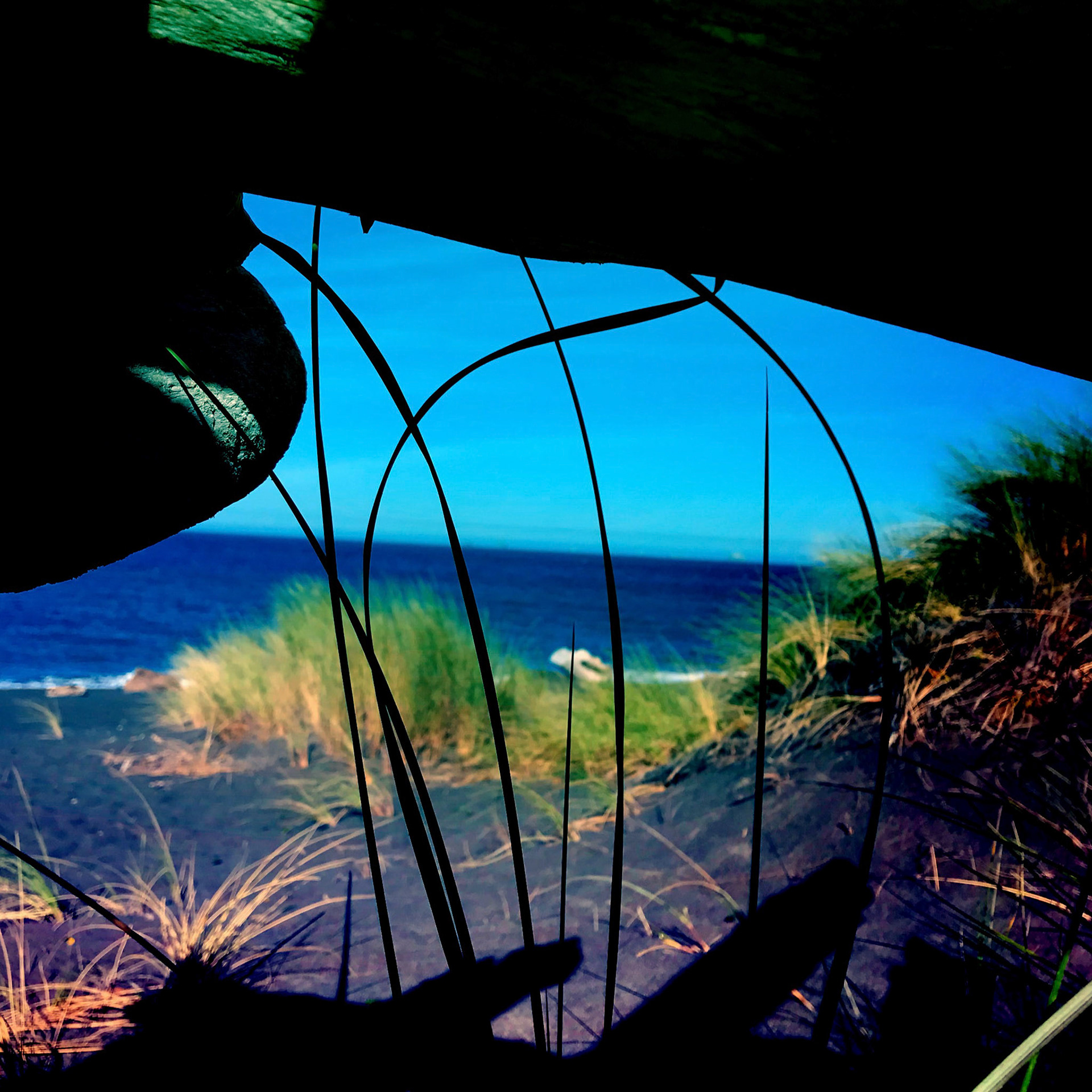 Hallucinogenic Outlook