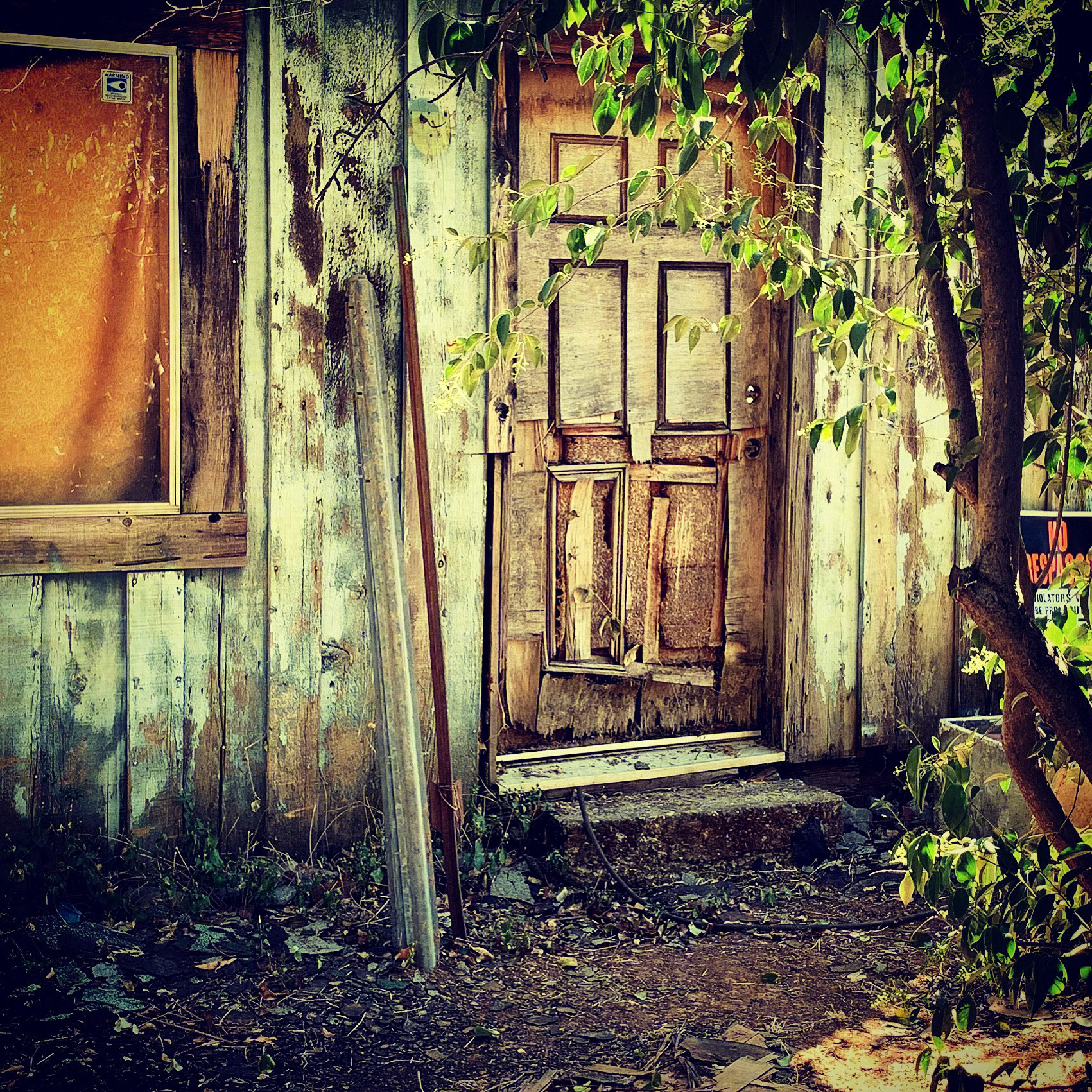 Abandoned House, Redding