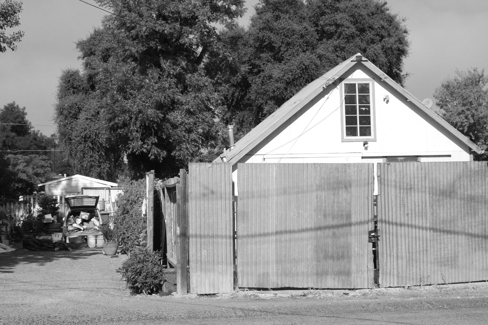 Behind My Place, Woodland