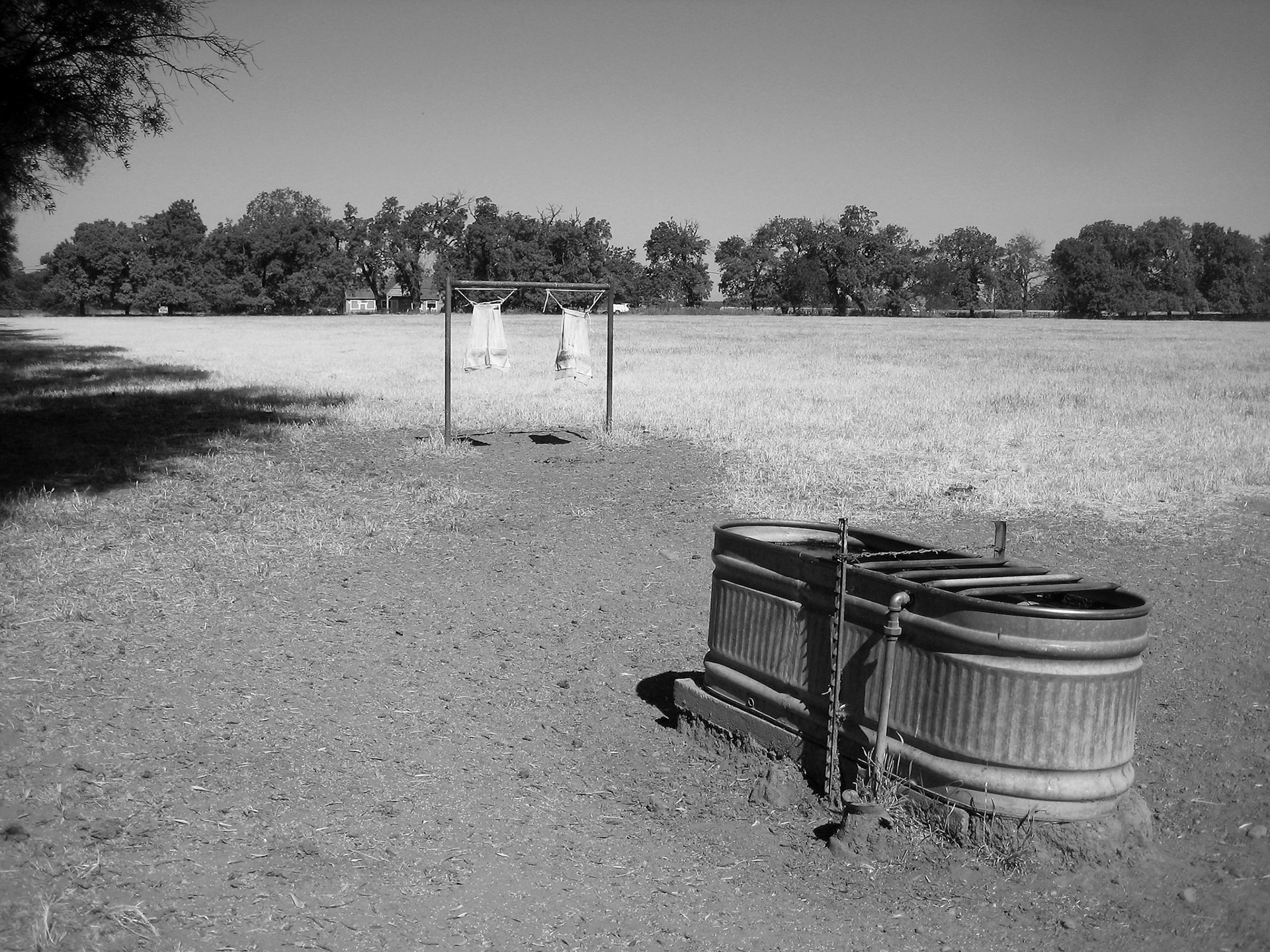 Outside Woodland, CA
