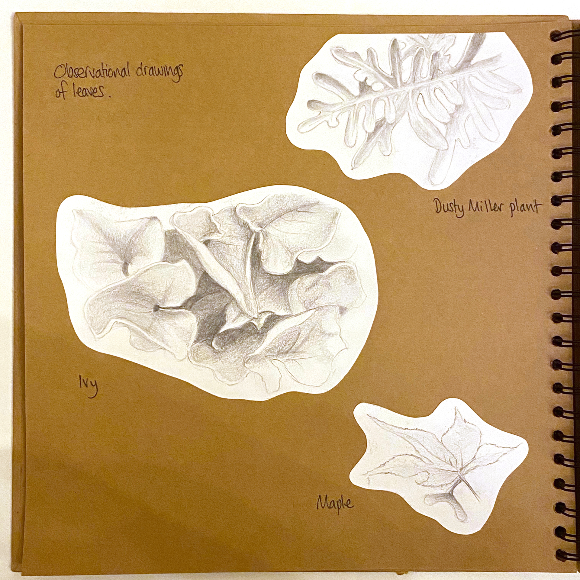 Kingsley Art Gcse Introductory Project Exemplar