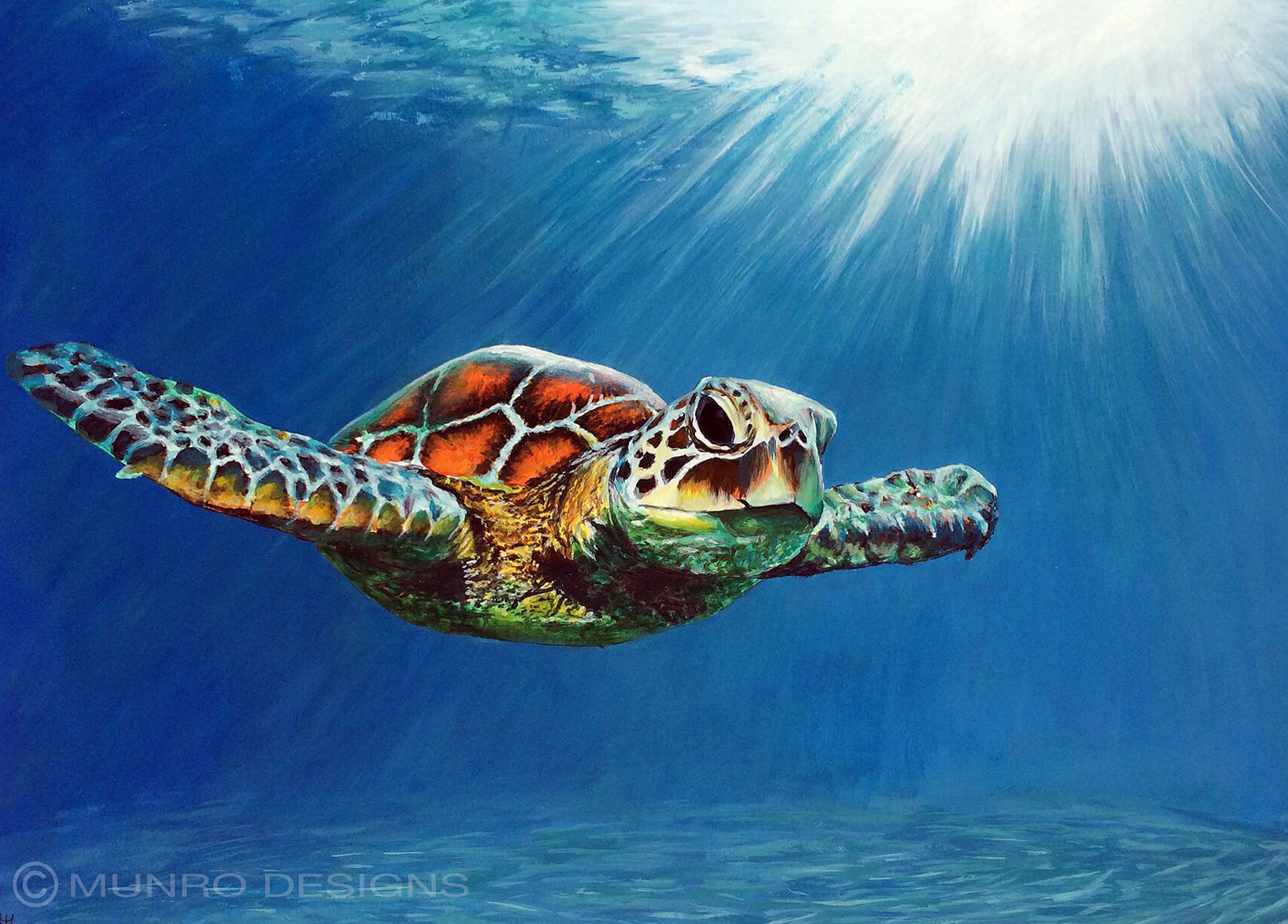 Kingsley Art - Turtle in Acrylics (Preparing the Background)