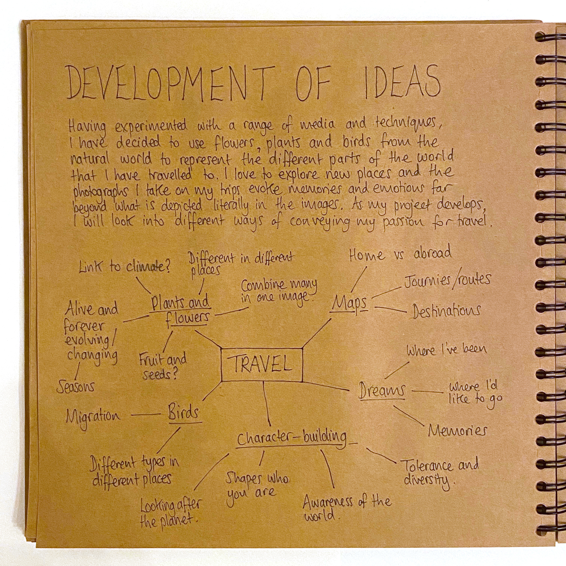 Development of ideas page