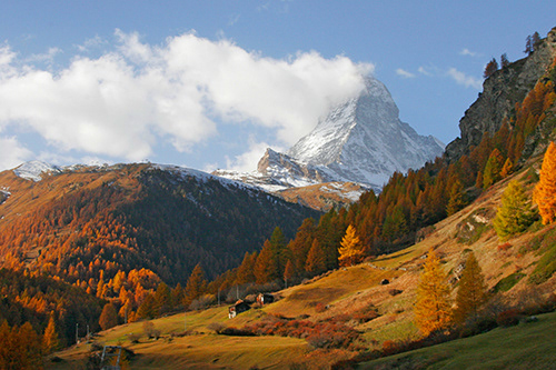 Glorious Fall colours in the Matterhorn hillside, Switzerland; UA-92916515-1