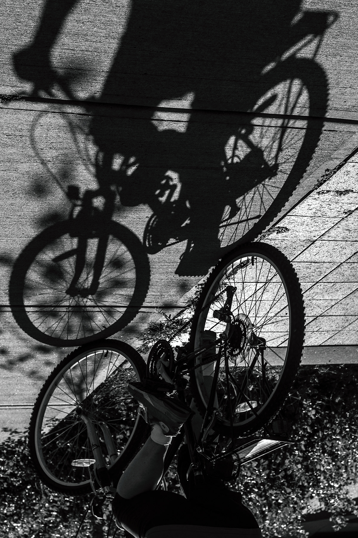 Maya Peroune, The Upside, Photography, Shaker Heights High School, Educator: Kathleen Fleming, Grade 12,  Honorable Mention