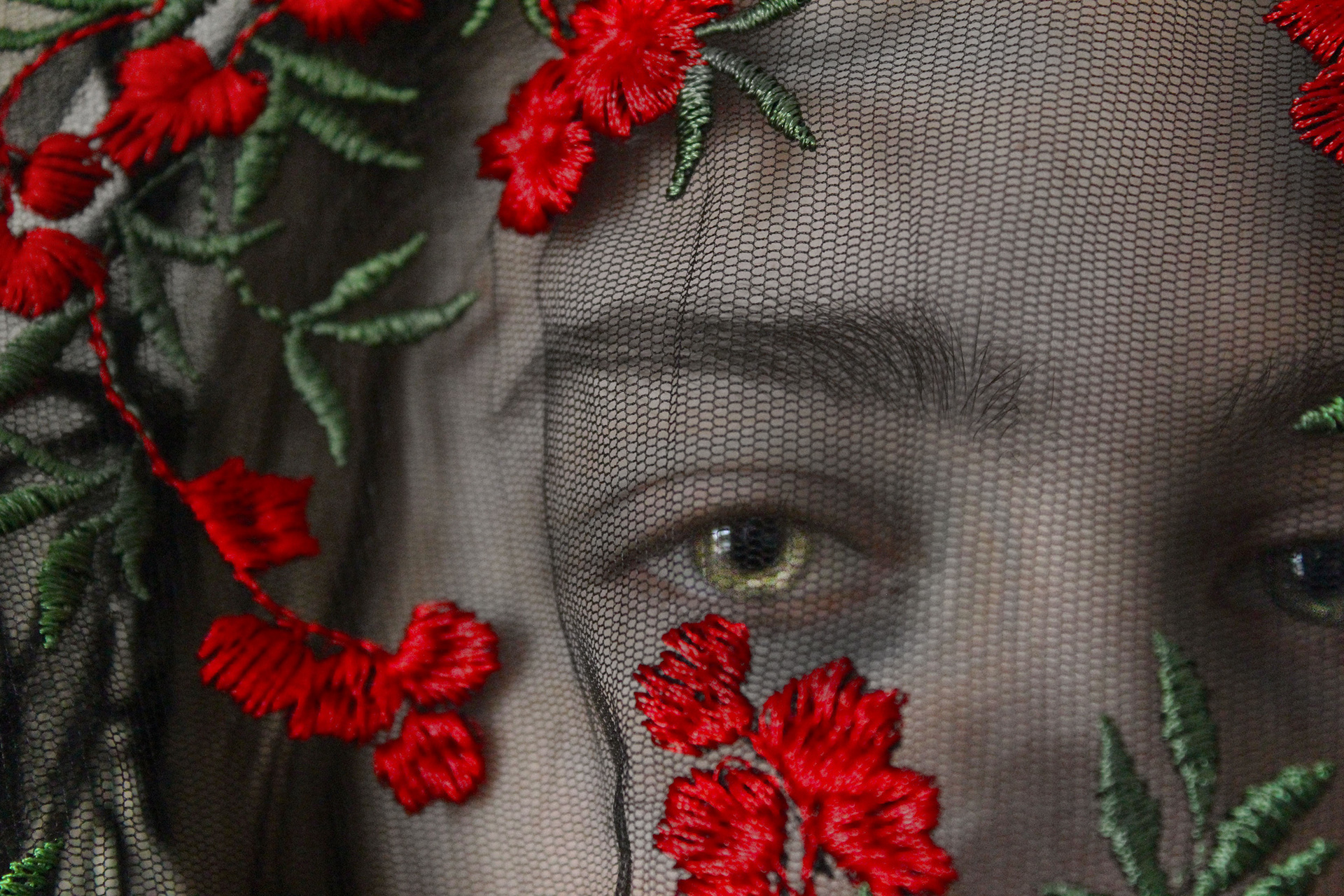 Shelby Lane, Pretty Posion, Photography, Notre Dame Cathedral Latin School, Educator: George Yaniga, Grade 11,  Honorable Mention