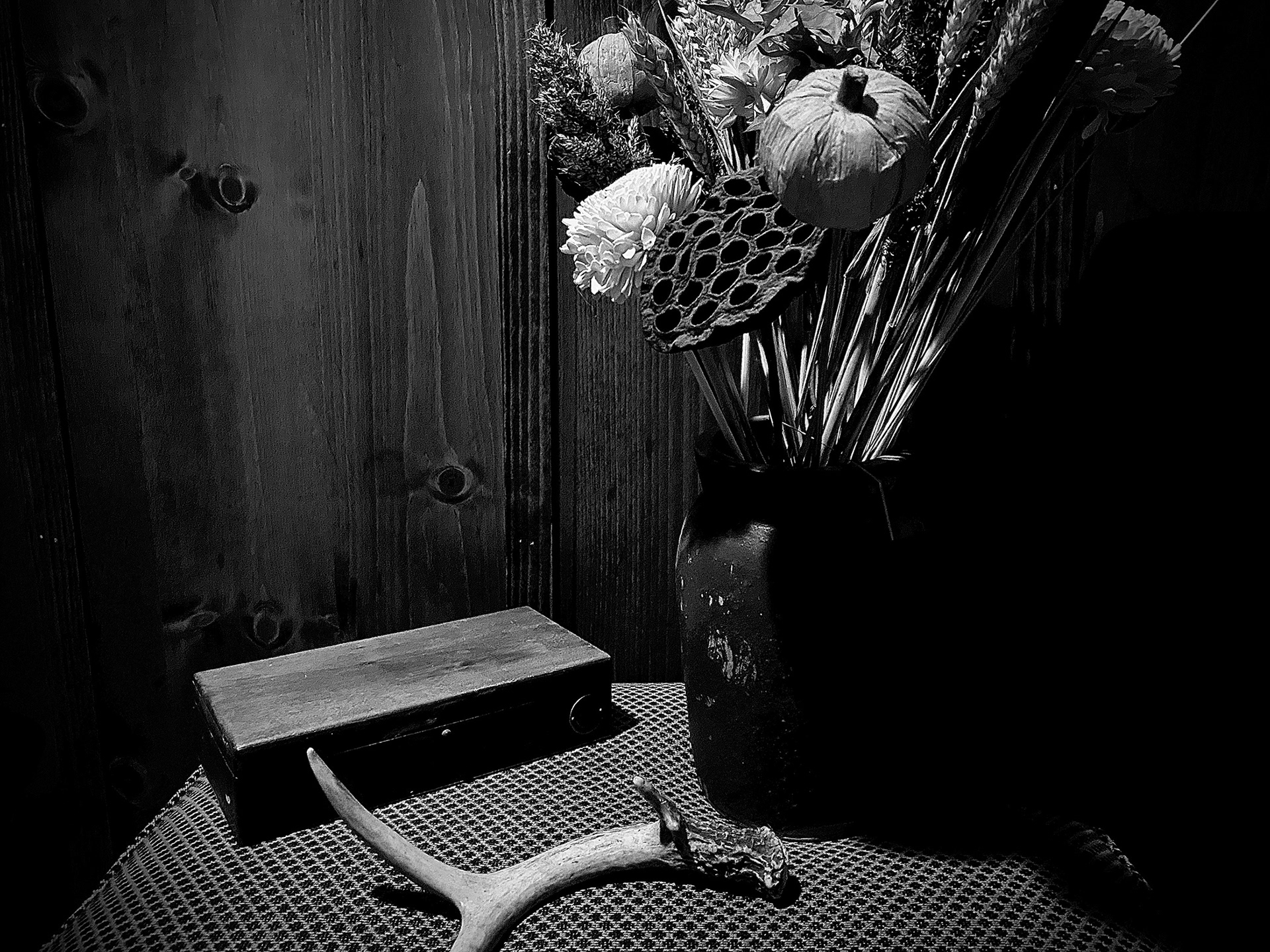 Paul Taylor, Arrangement, Photography, University High School, Educator: Michael Starinsky, Grade 10,  Honorable Mention