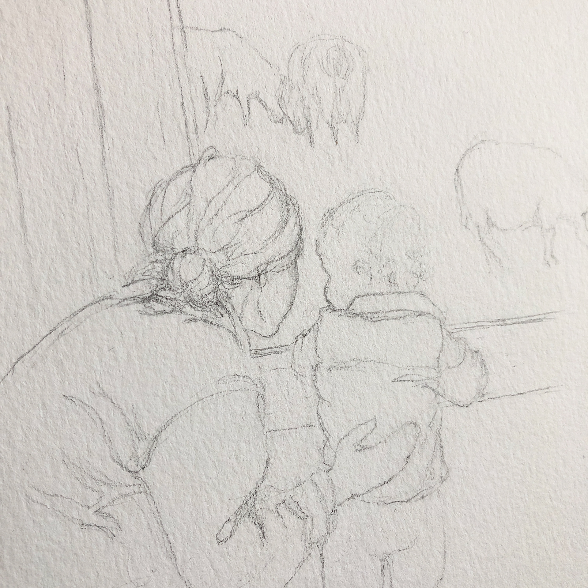 Final pencil base drawing