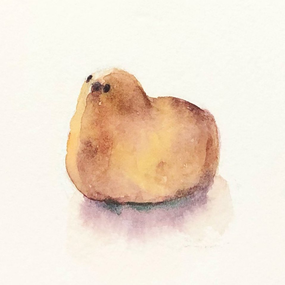 ひよこ Baby Chick Sweet 9 x 9 cm