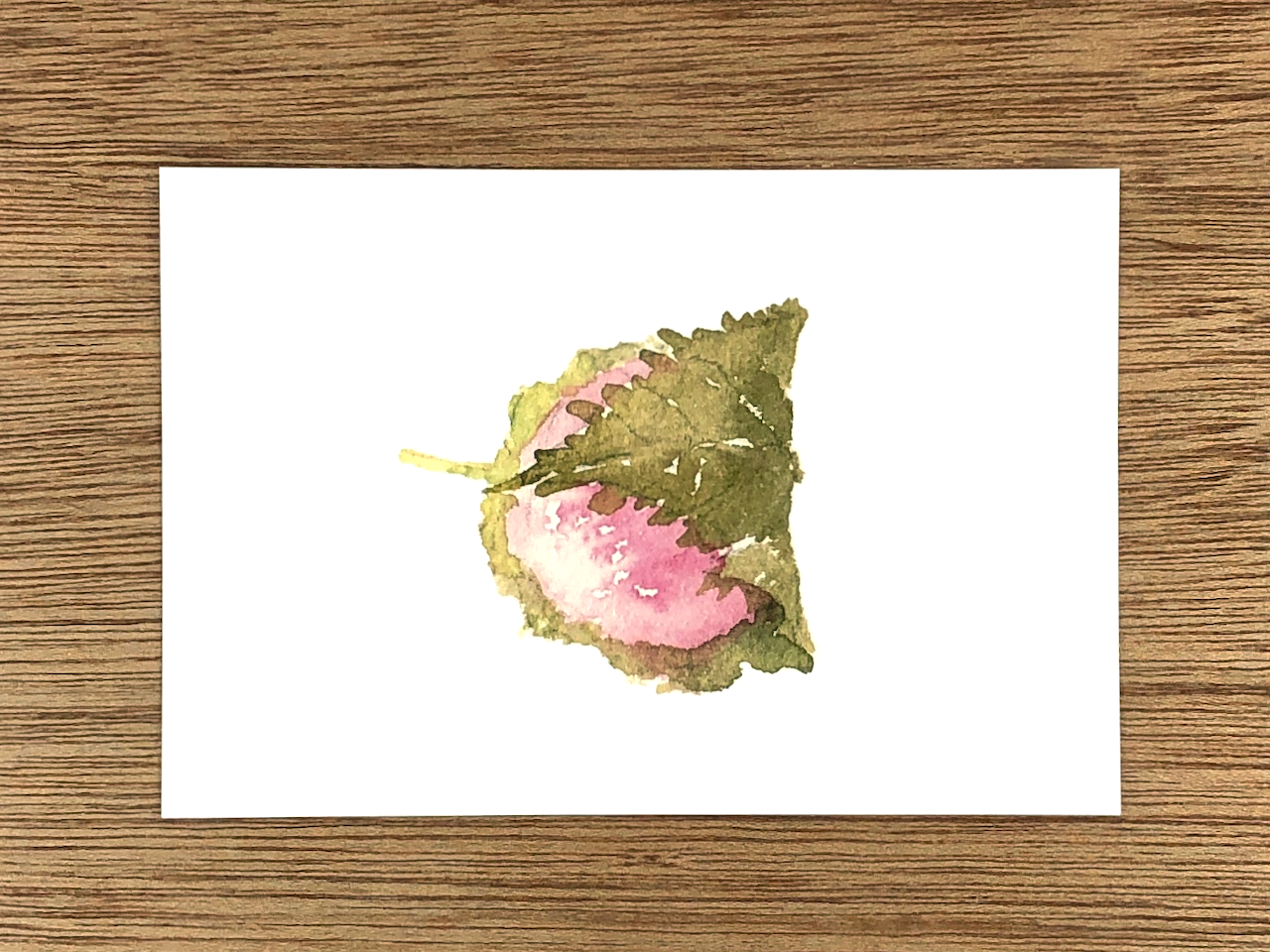 さくらもち Sakura-Mochi Cherry Blossom Rice Cake