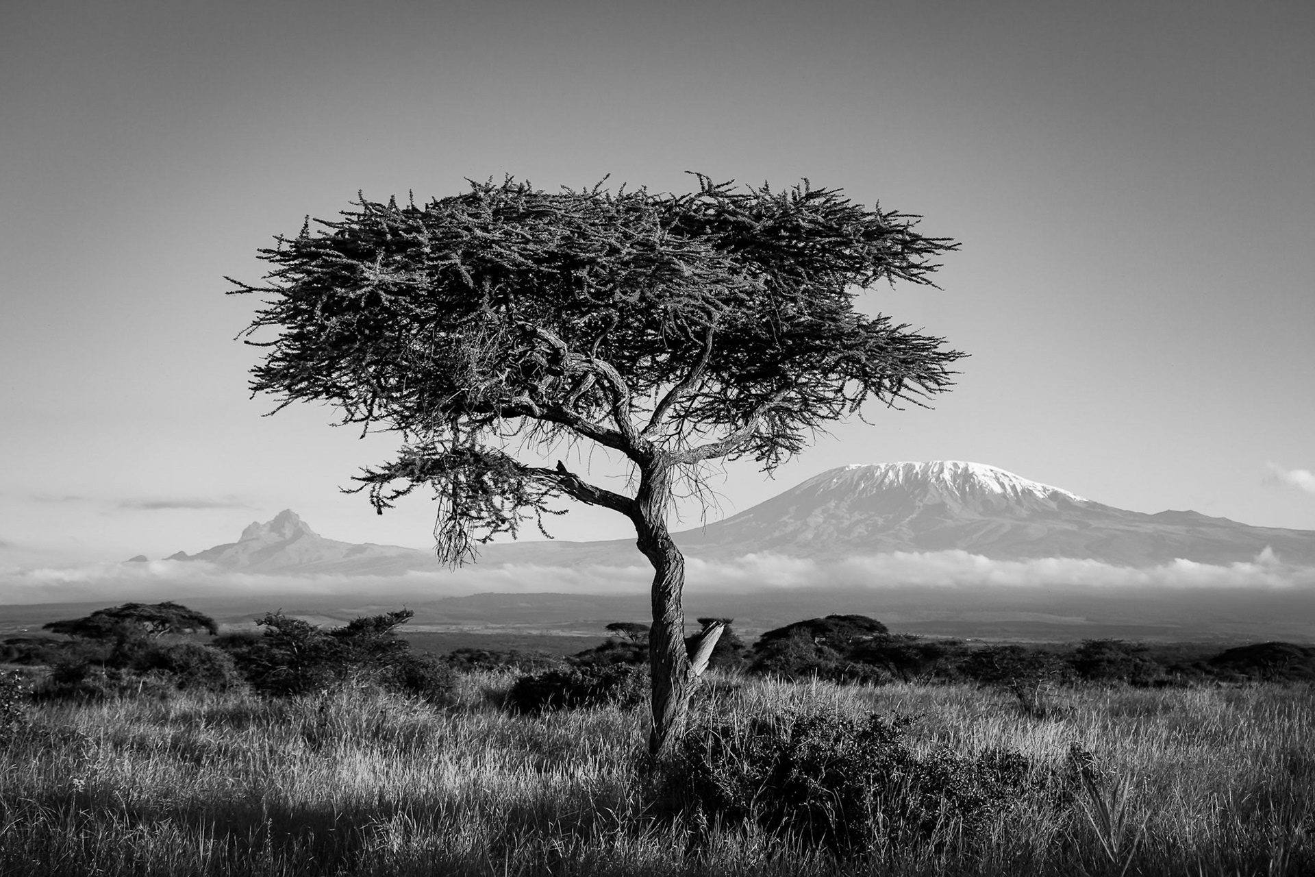 Slopes Of Kilimanjaro