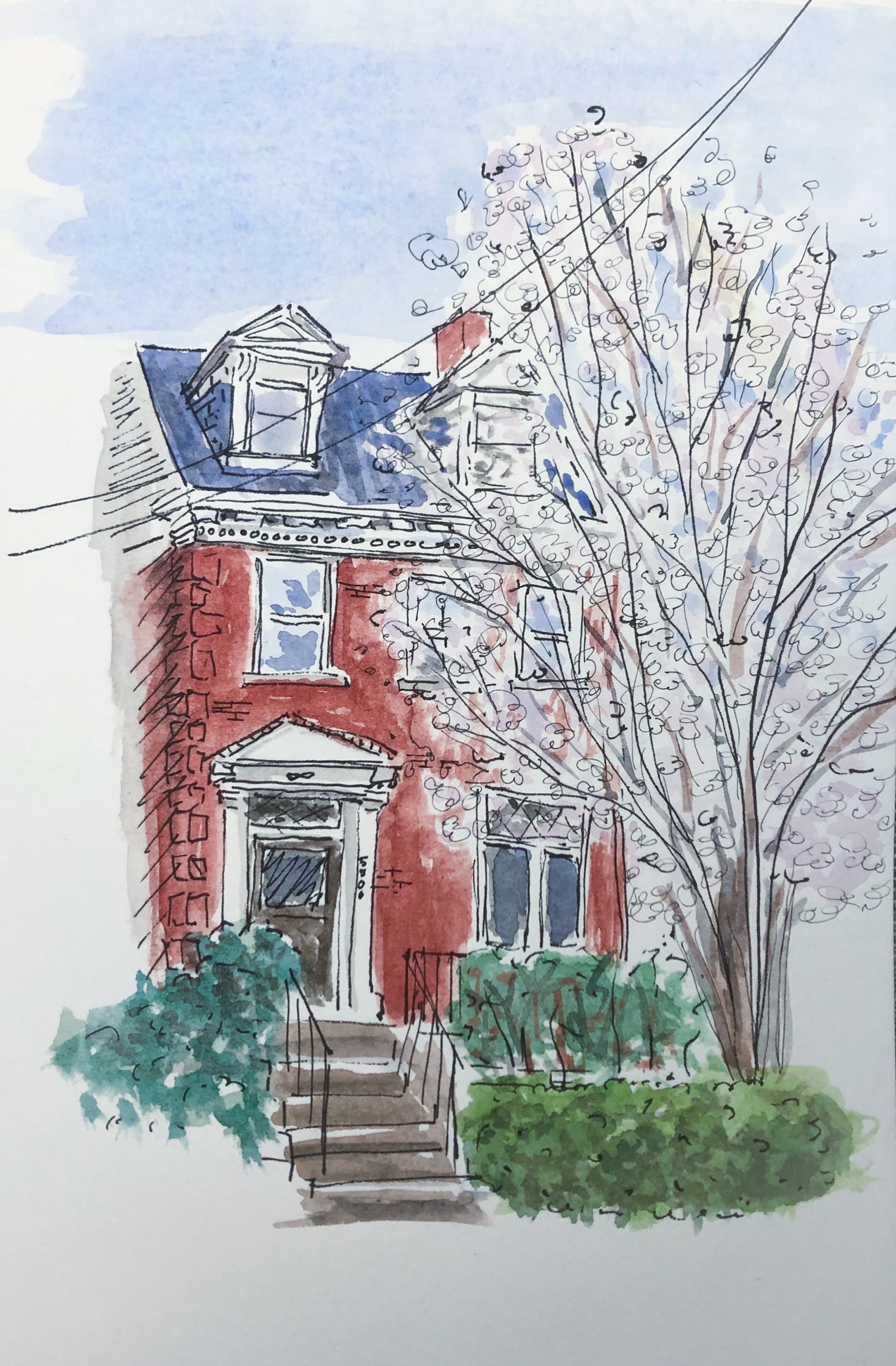Alex's Place