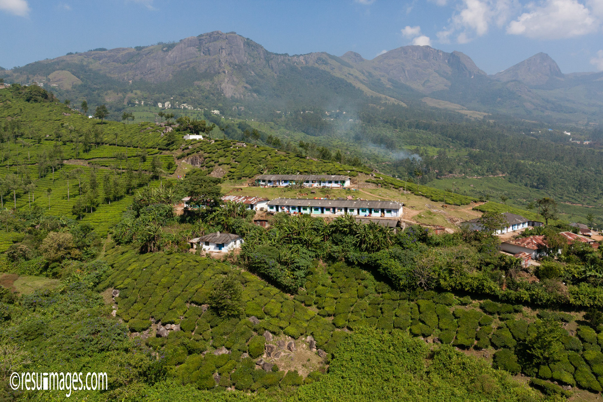 Tata Tea Estate Periakanal, Kerala, IND