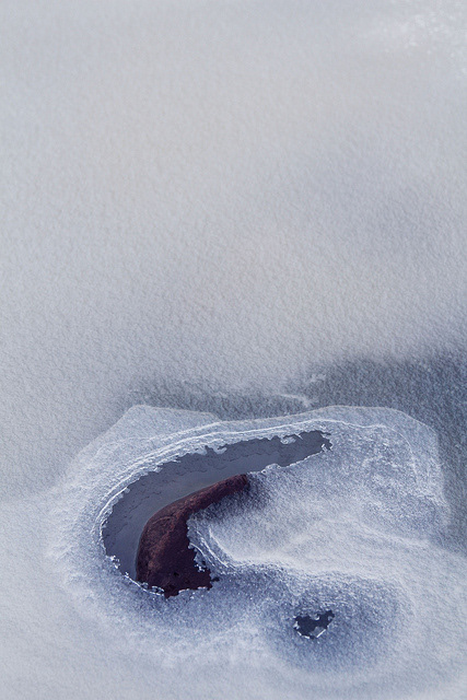 Photo of melted ice around a rock in a frozen creek