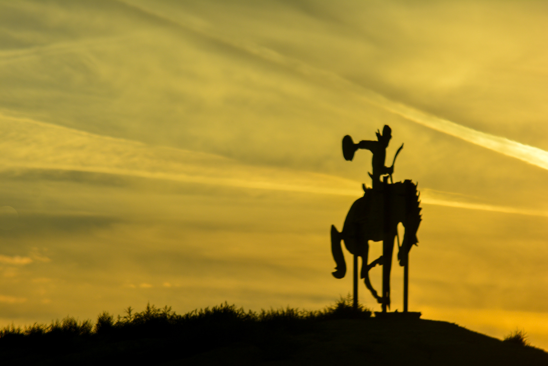 Montana, sunset horse