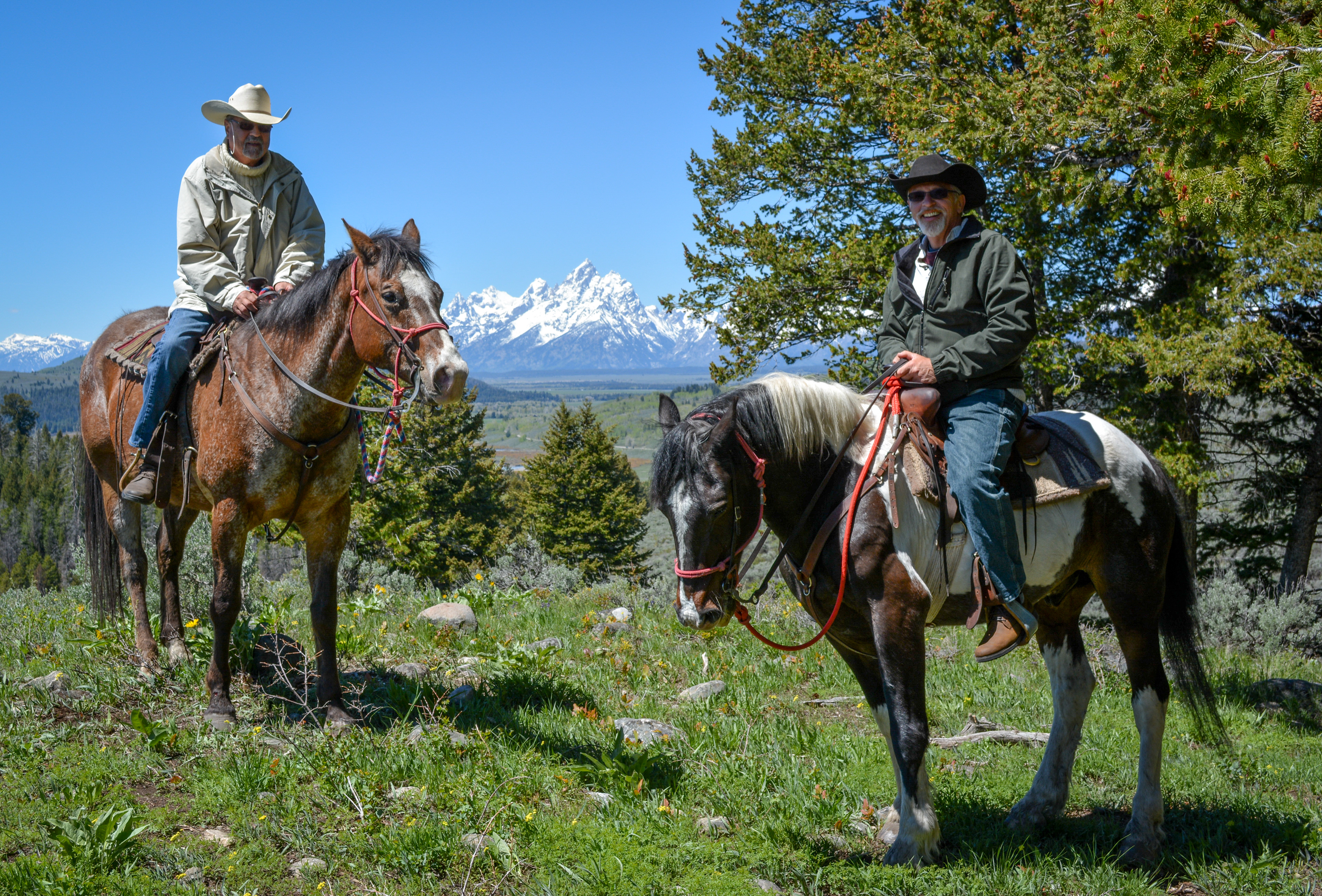 Wyoming, Vikings