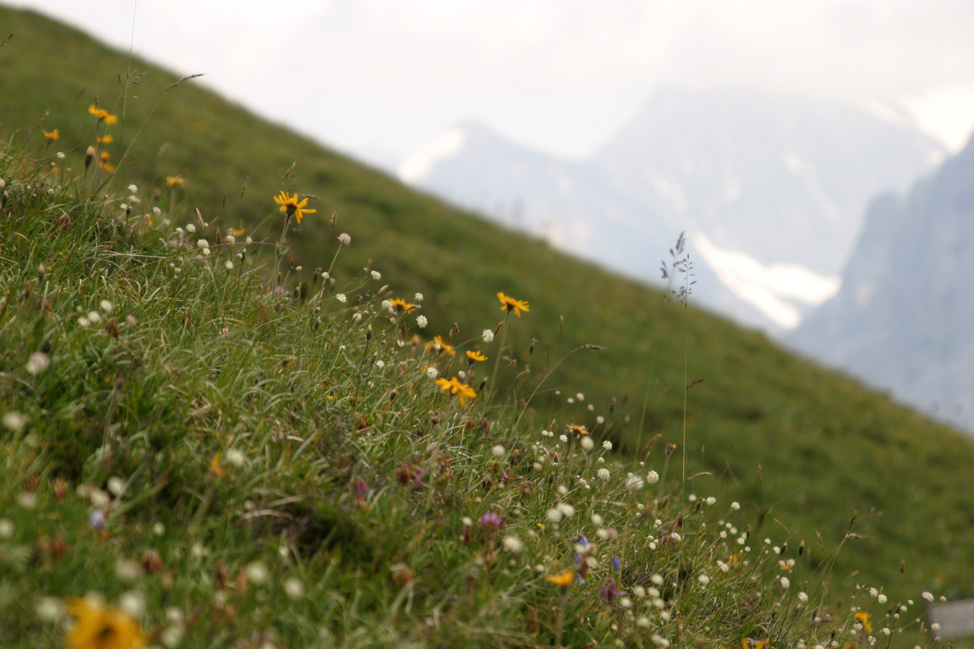 Switzerland