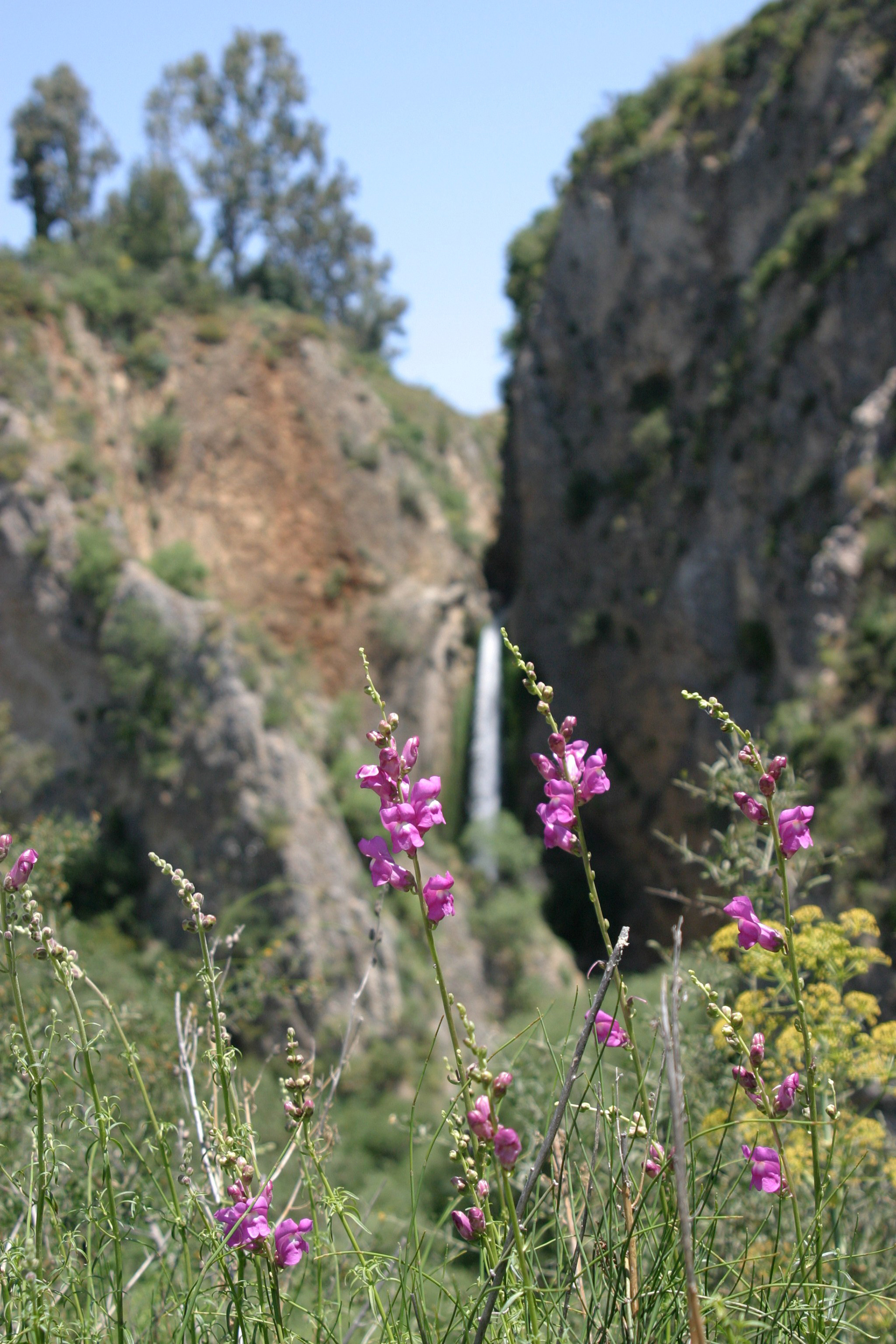 Hula Valley, Northern Israel