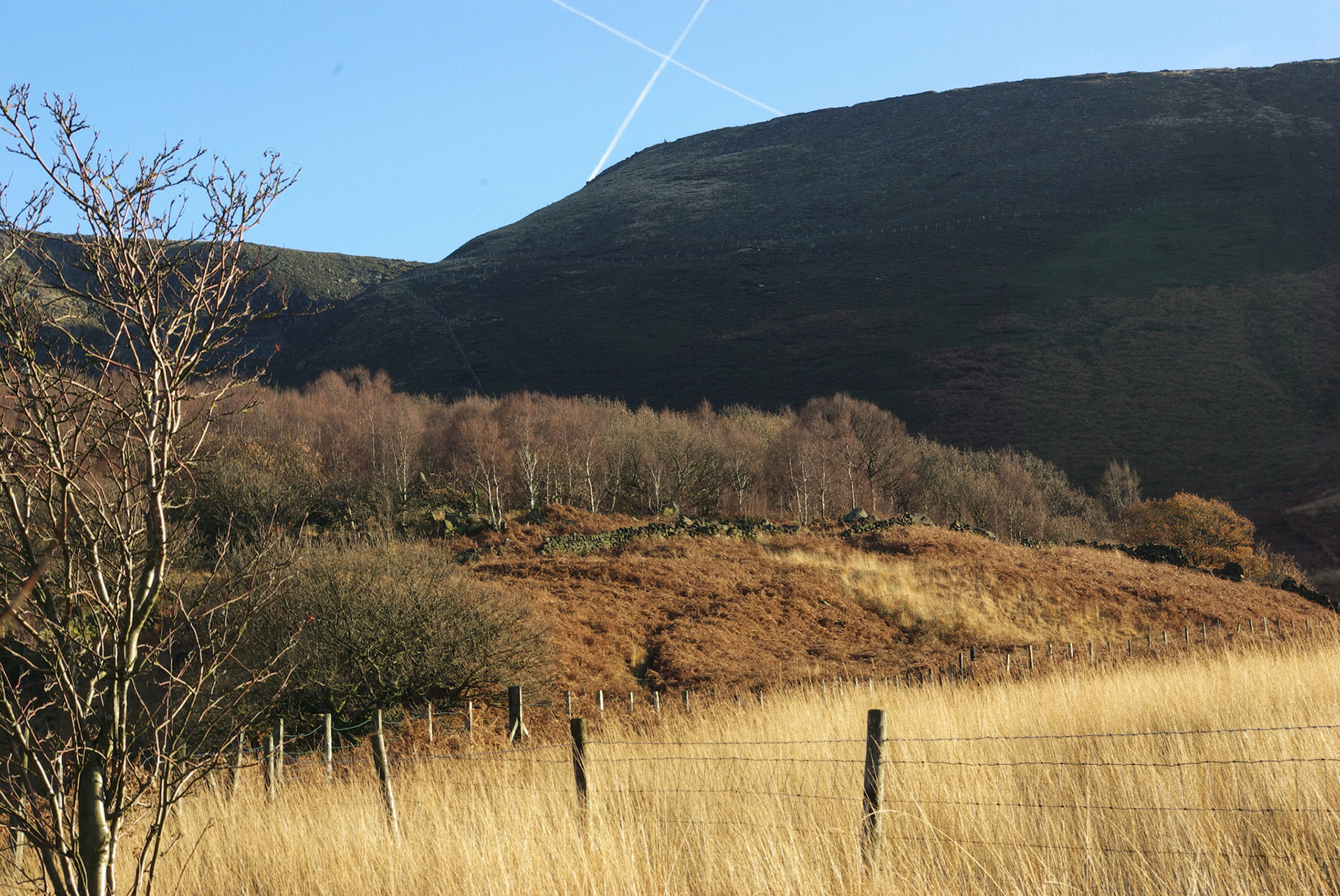 Wildboar Clough