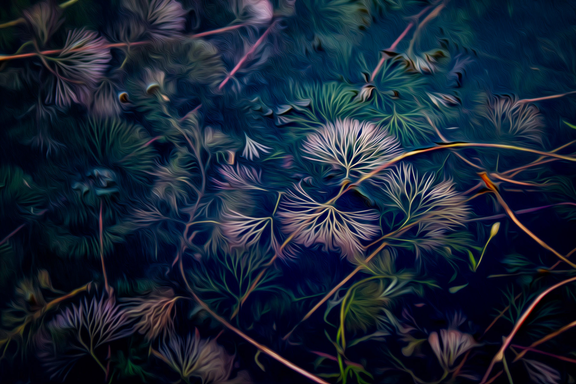 FLOATING BEAUTY | WINNING IMAGE OF 2013 VINCENT VERSACE AWARD