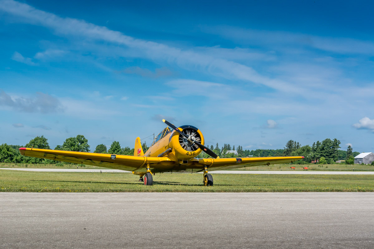 #436 Harvard MK4 © Irwin Seidman