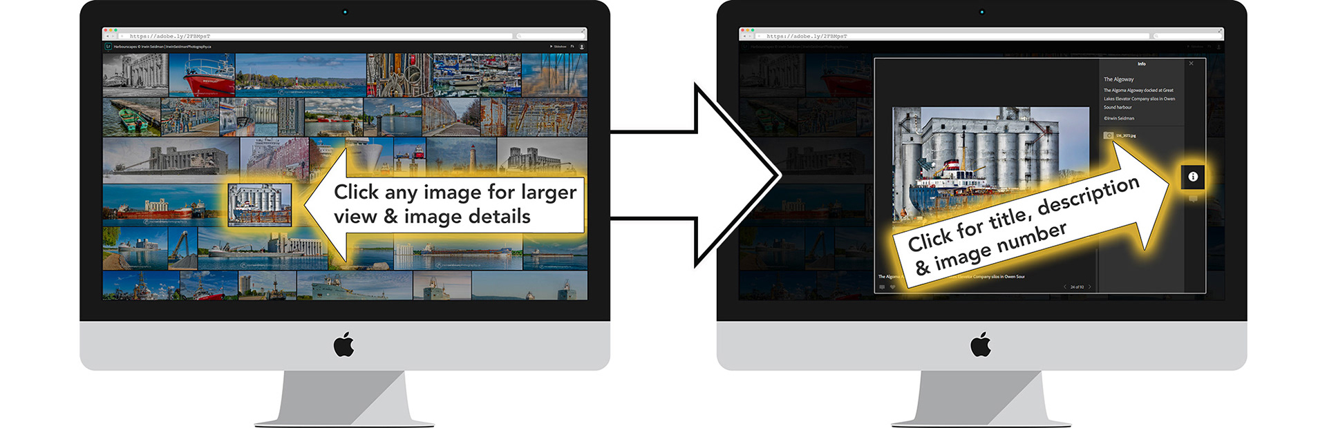 using the Adobe Lightroom Web Catalogue
