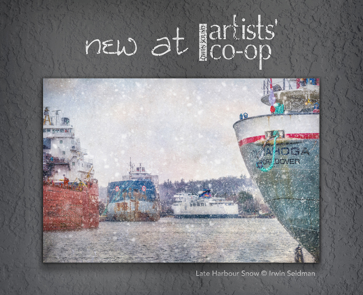 Late Harbour Snow © Irwin Seidman