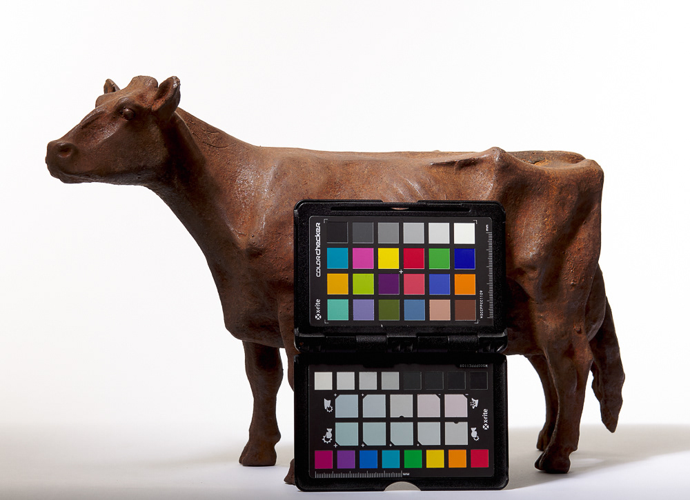 Still life of cow sculpture with X-Rite Color Checker Passport