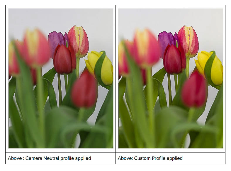 Sample image with a standard profile (left) and a custom profile (right) applied