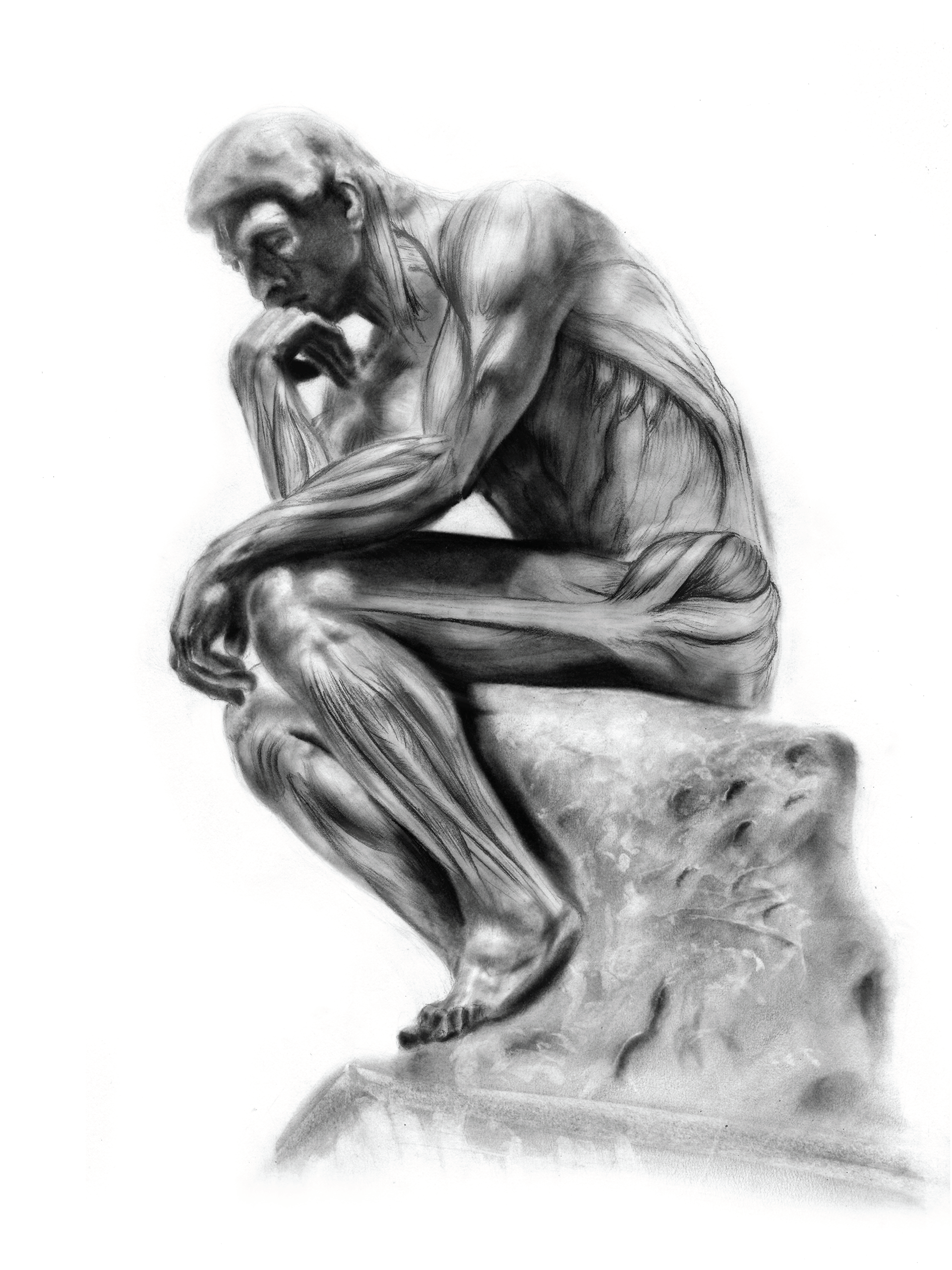 Muscular study of Rodin's The Thinker