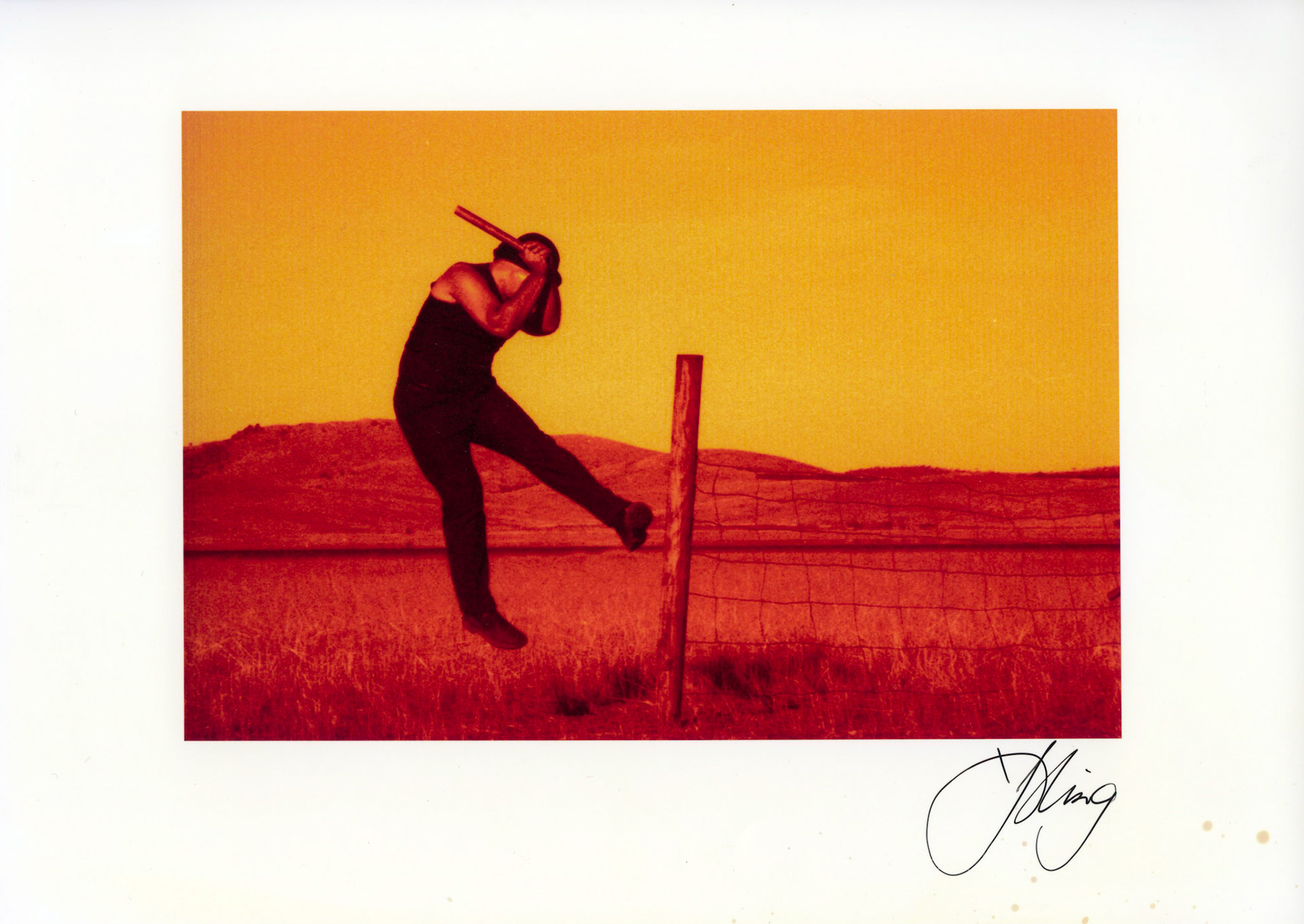 'pling - signed - assorted prints