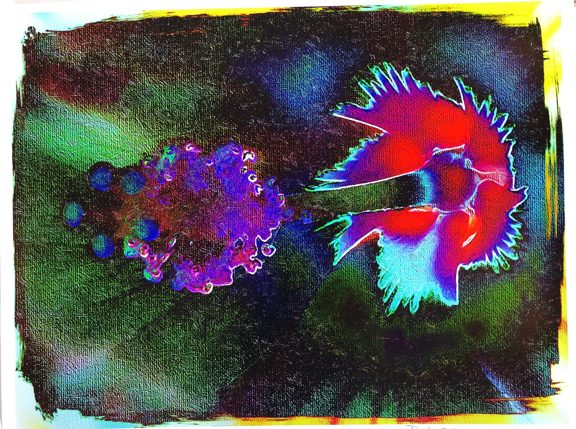 Flower Power 2 $500 (23" x 28")