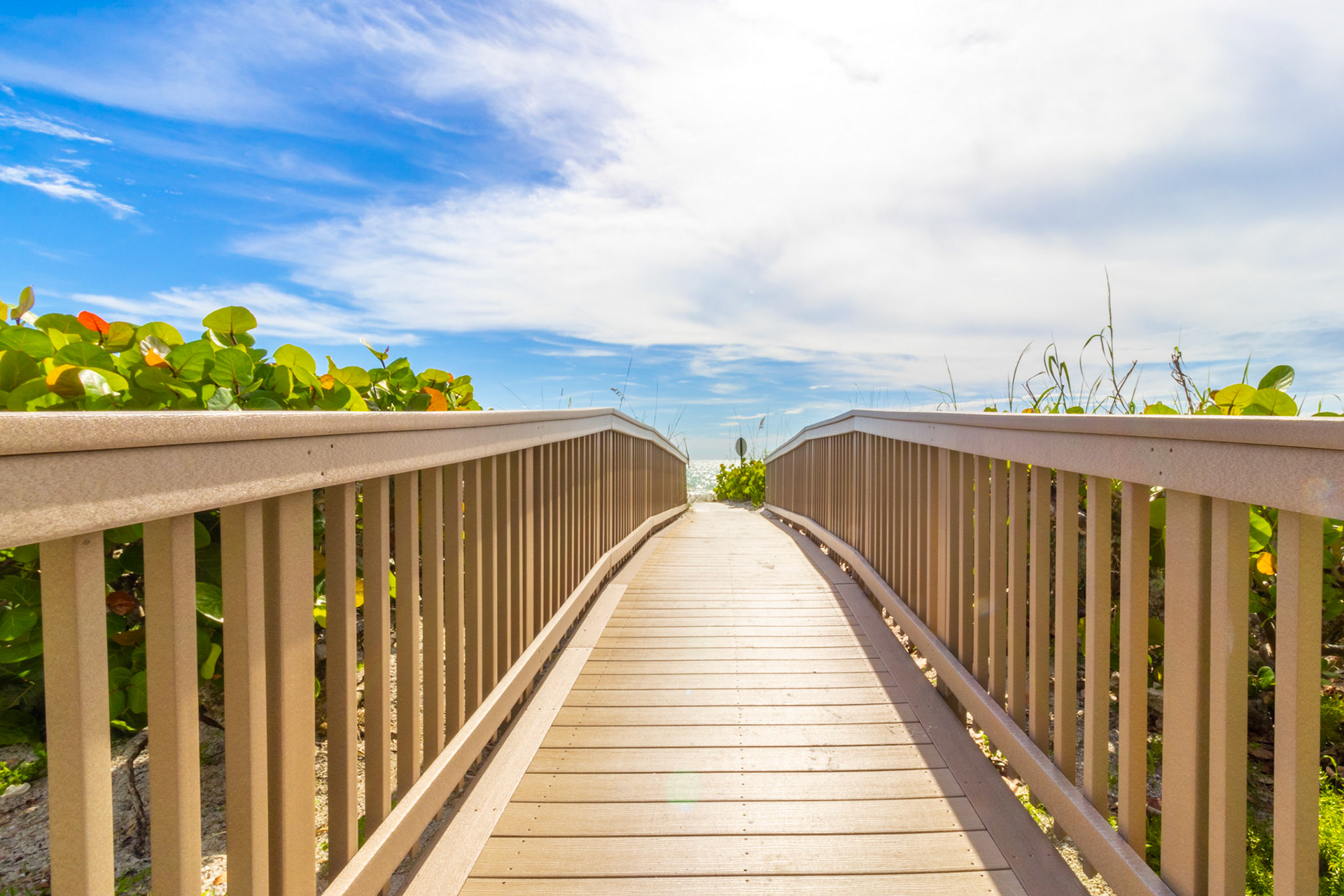 Sunshine is the best medicine.