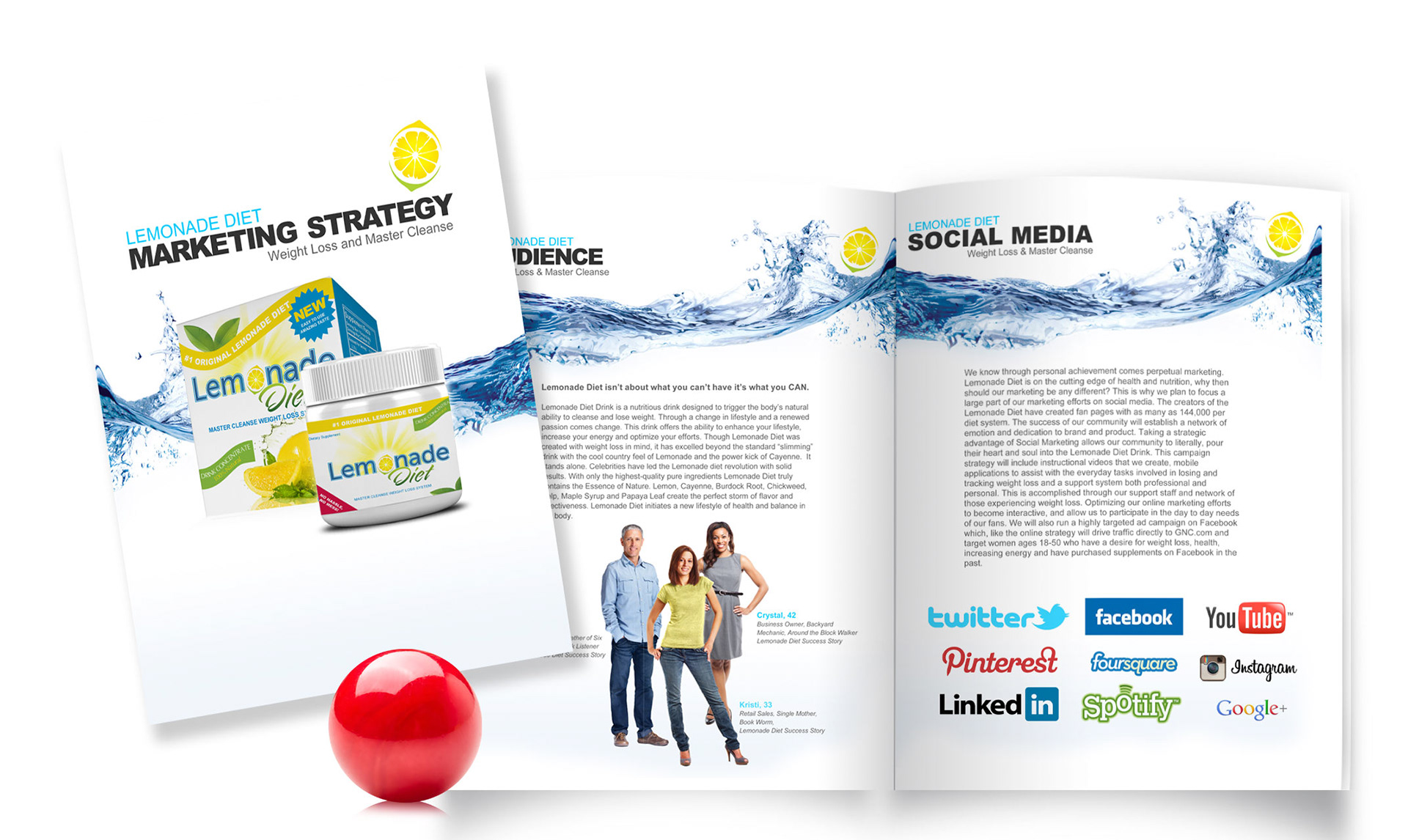 Lemonade Diet - Marketing Strategy