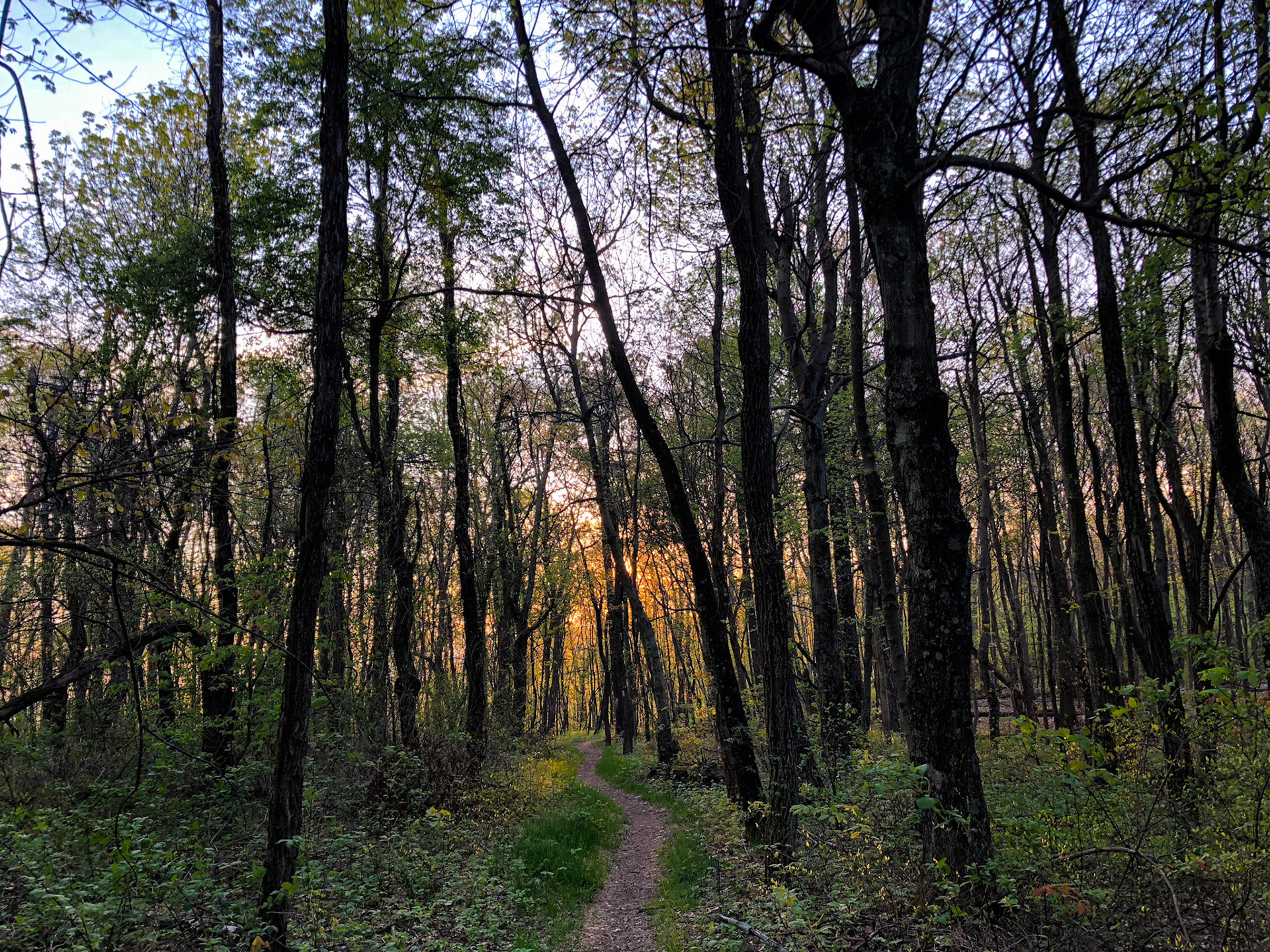 Entering the Shenandoahs